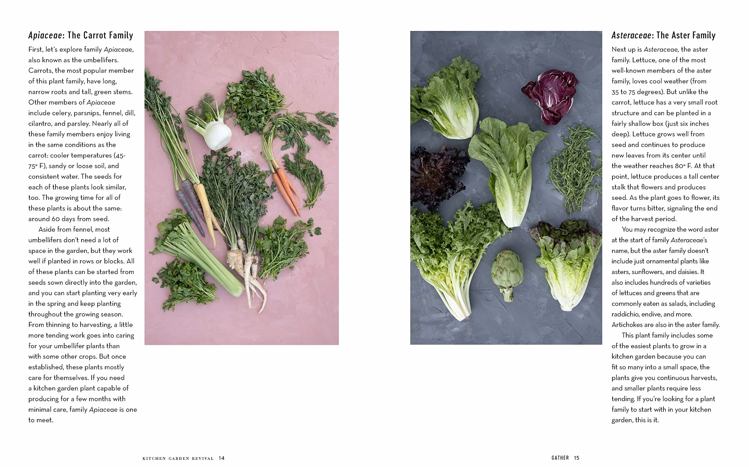 Kitchen Garden Revival: A Modern Guide to Creating a Stylish, Small-Scale, Low-Maintenance, Edible Garden