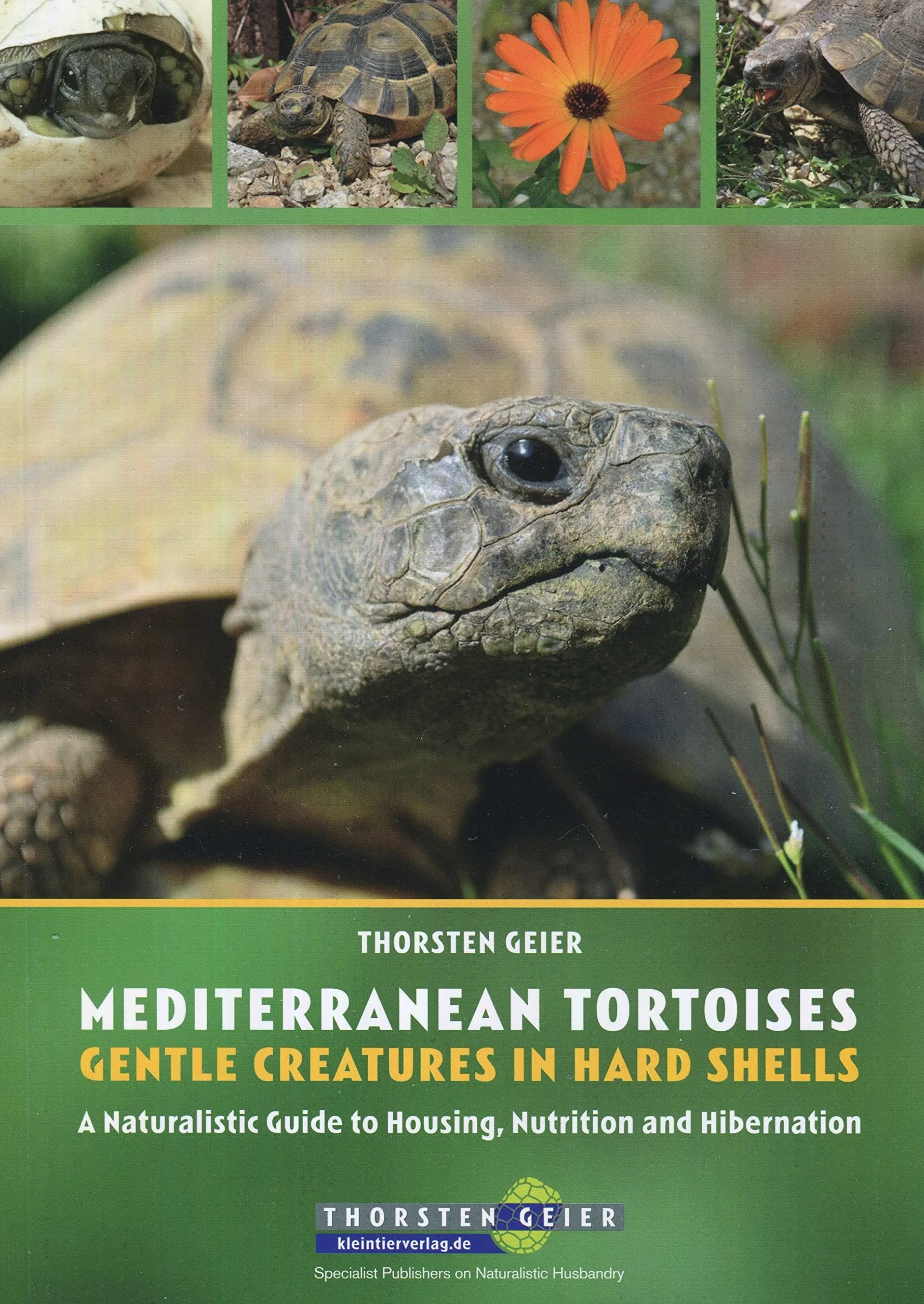 Mediterranean Tortoises: Gentle Creatures in Hard Shells: A Naturalistic Guide to Housing, Nutrition and Hibernation