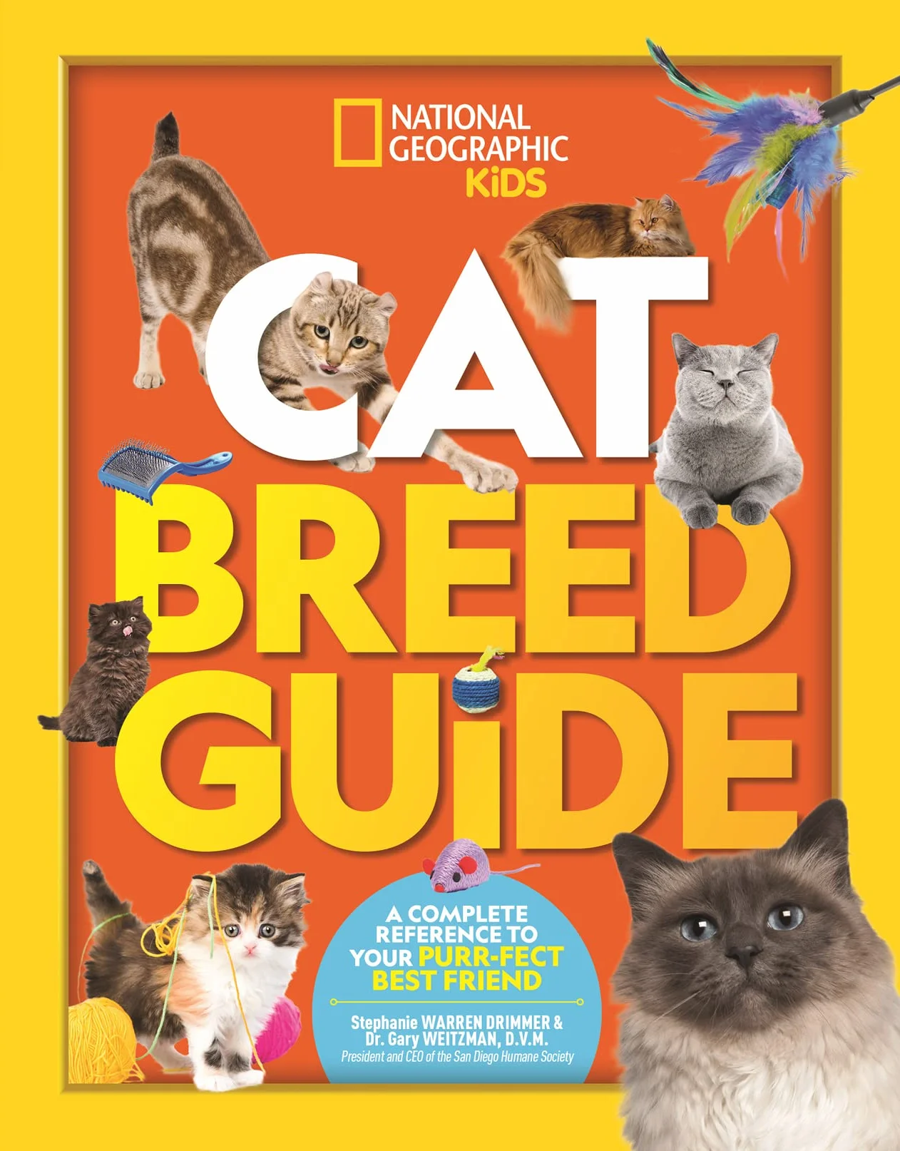 Cat Breed Guide: A complete reference to your purr-fect best friend