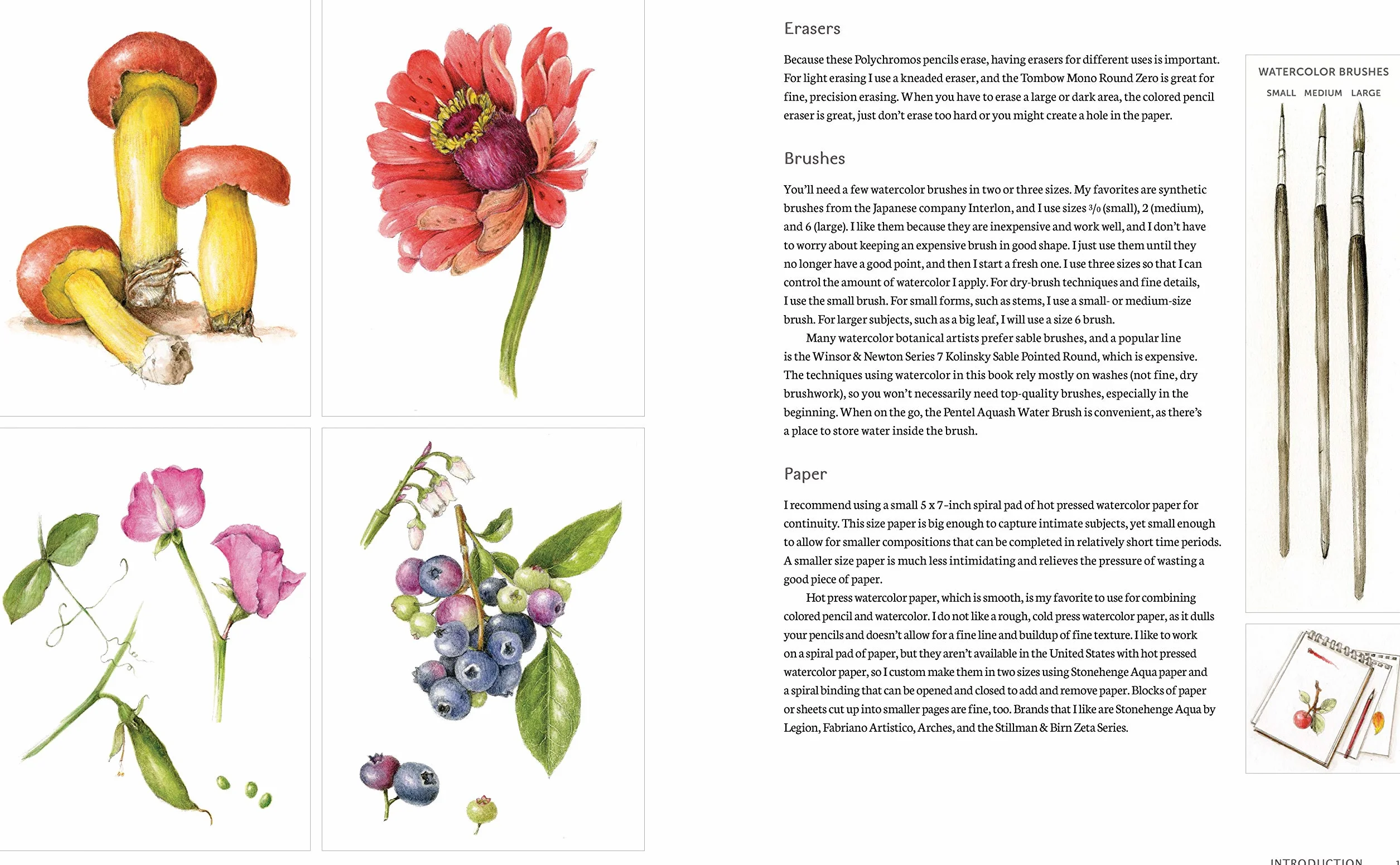 The Joy of Botanical Drawing: A Step-by-Step Guide to Drawing and Painting Flowers, Leaves, Fruit