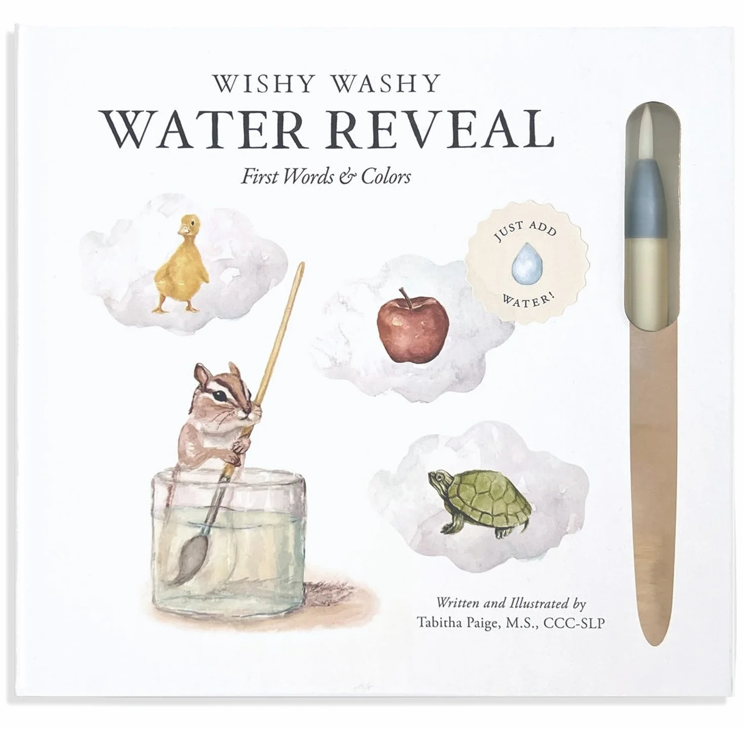 Wishy Washy Water Reveal Edition: Reusable Activity Book Teaching First Words and Colors