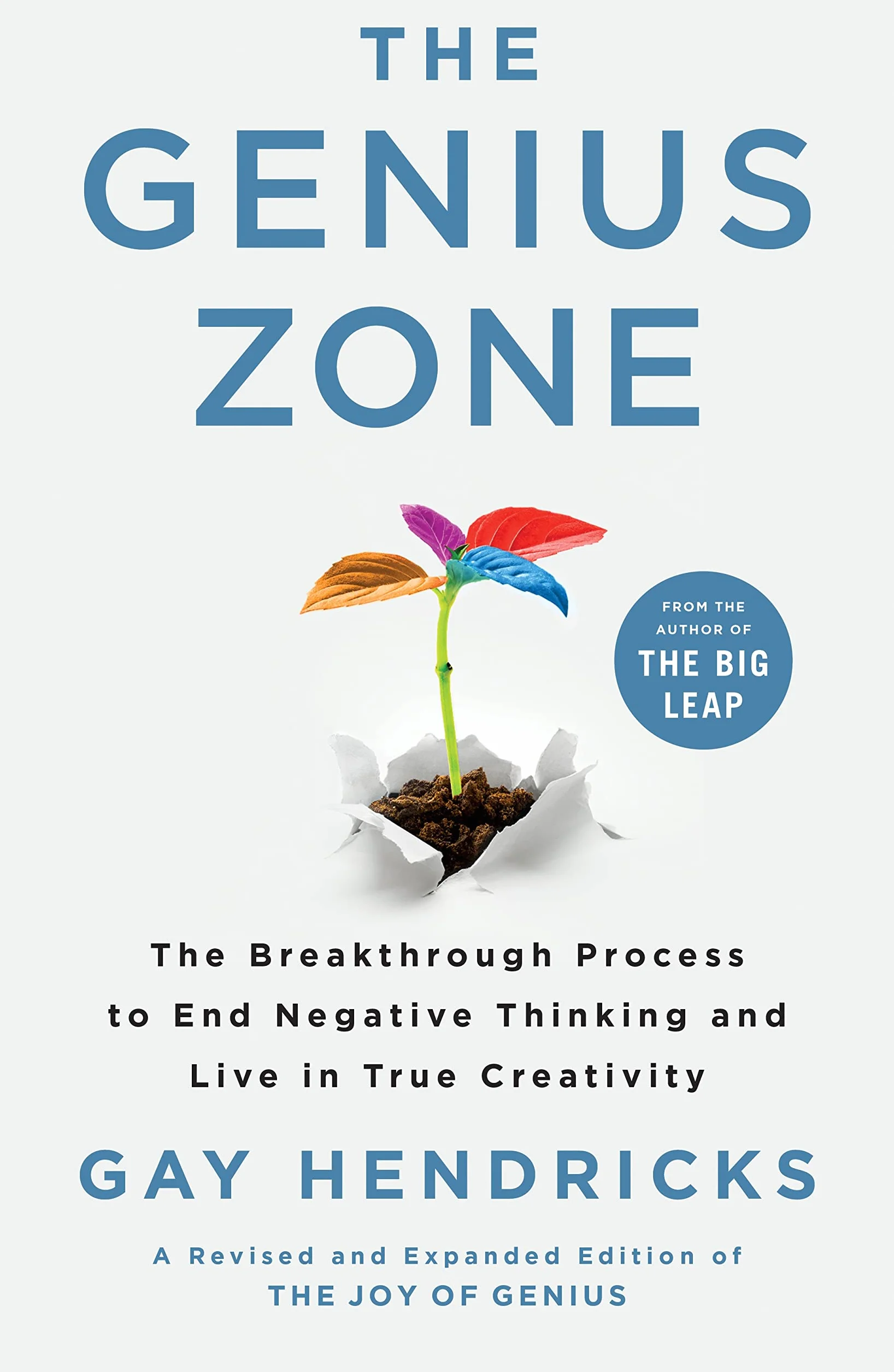 The Genius Zone: The Breakthrough Process to End Negative Thinking and Live in True Creativity