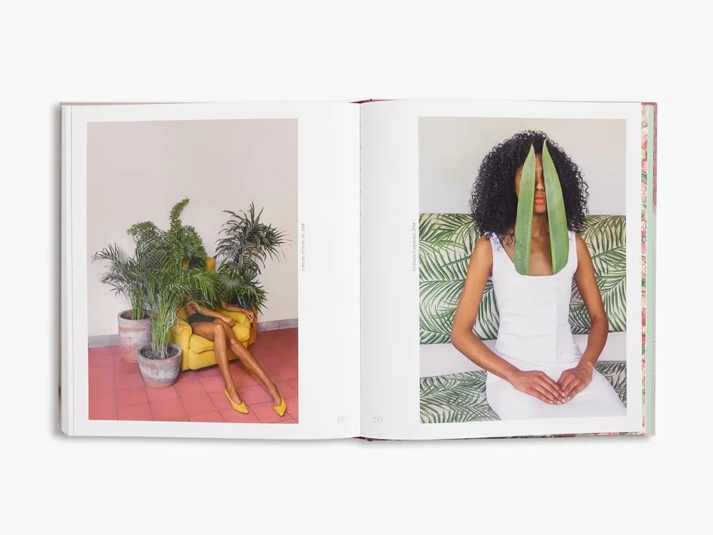 Brooke DiDonato: Take a Picture, It Will Last Longer /anglais