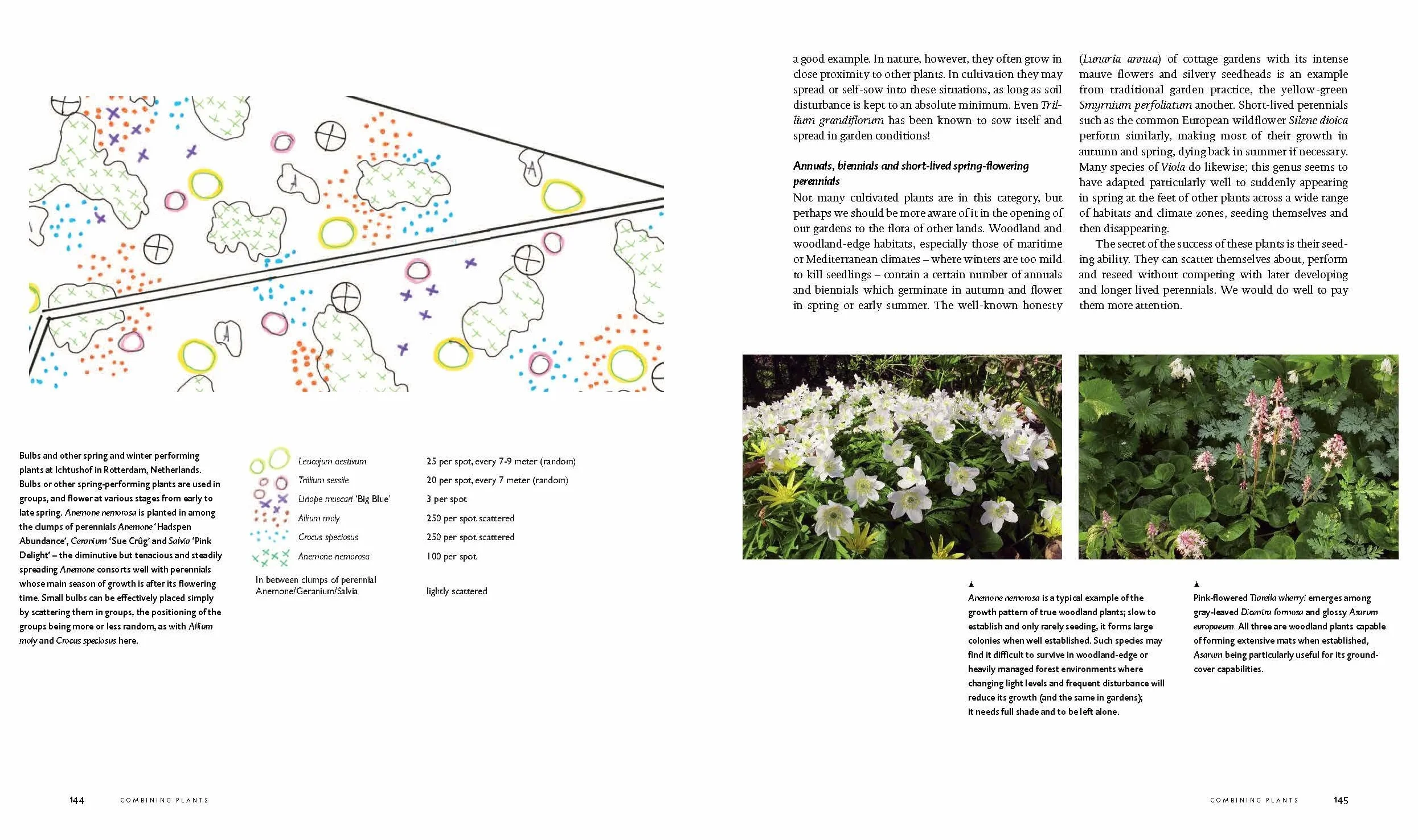 Planting: A New Perspective