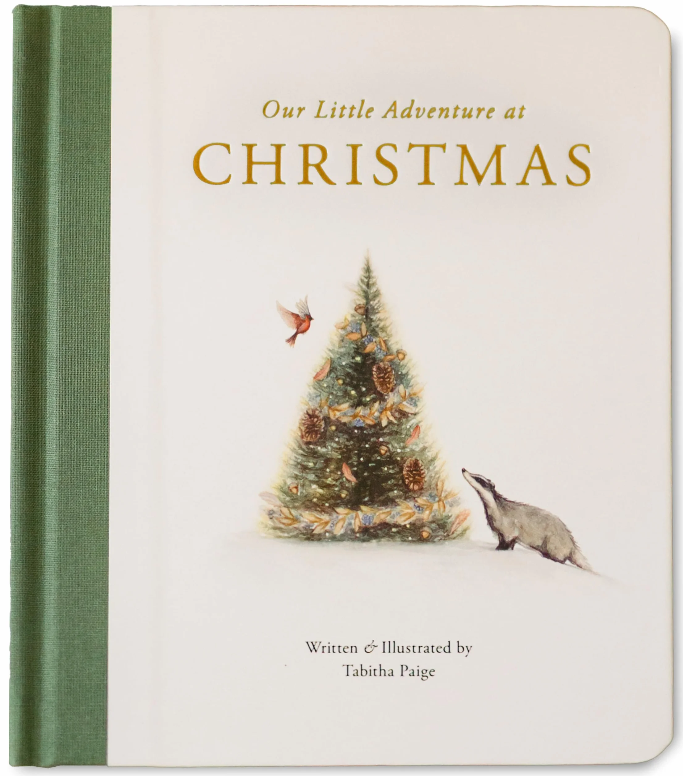 Our Little Adventure at Christmas: Featuring Foundational Language Concepts and Lessons on the Joy of Giving: 12