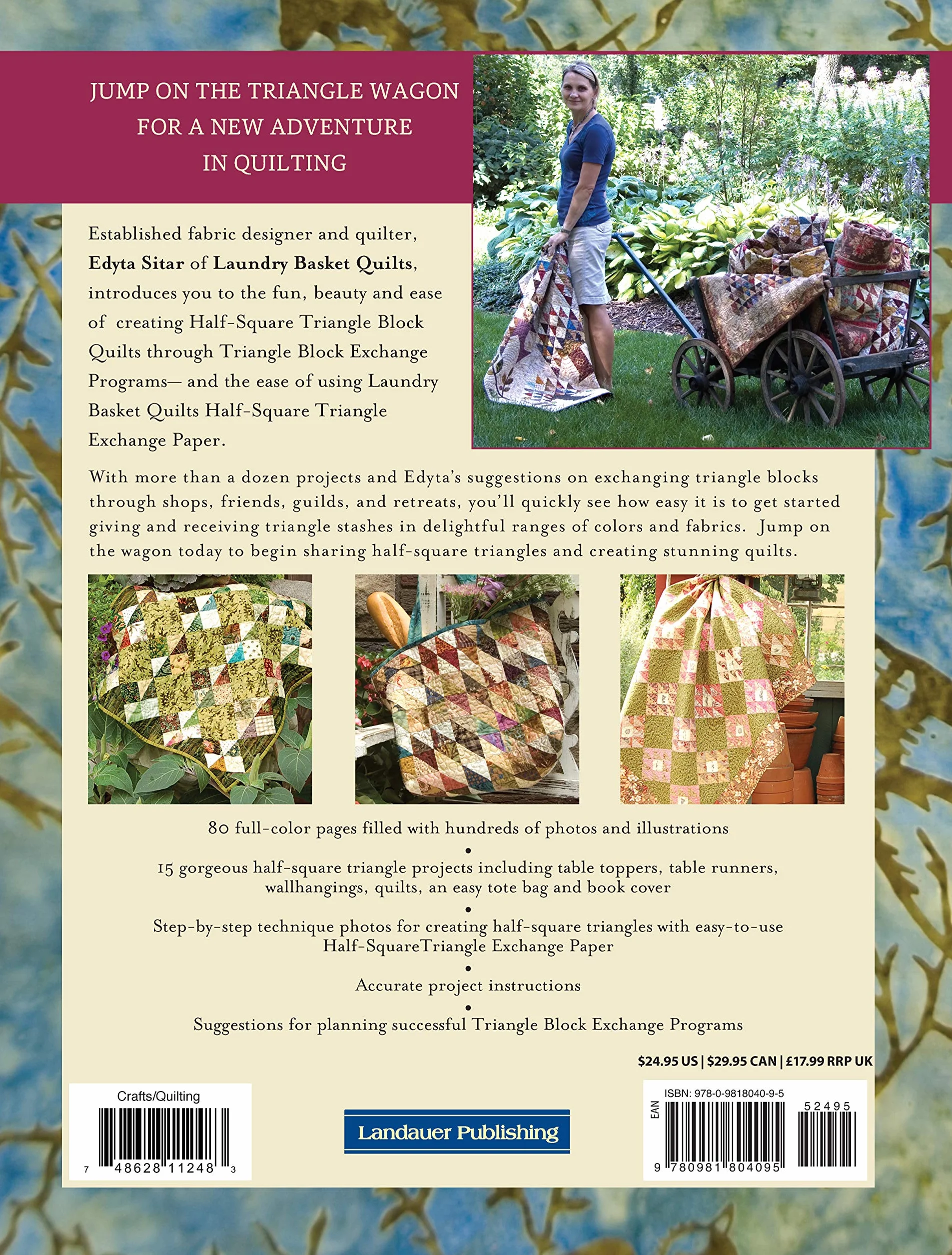 Friendship Triangles: 15 Beautiful Quilting Projects, Triangle Exchange Ideas, Step-By-Step Technique