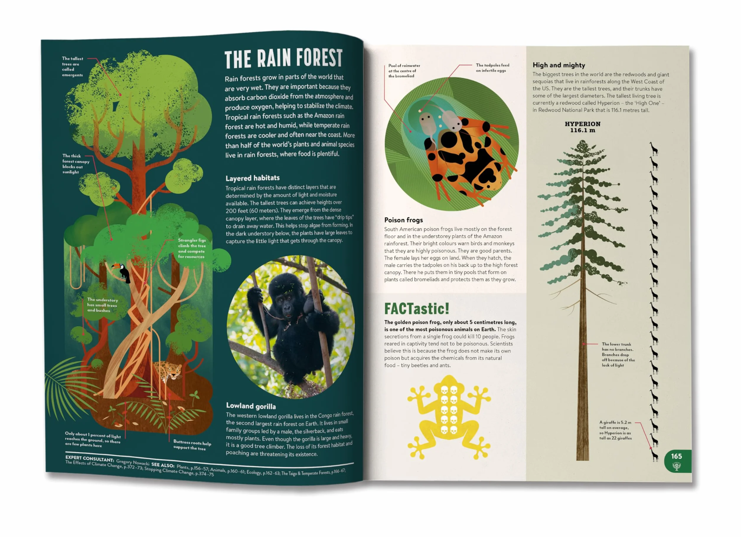 Britannica All New Children's Encyclopedia: What We Know & What We Don't