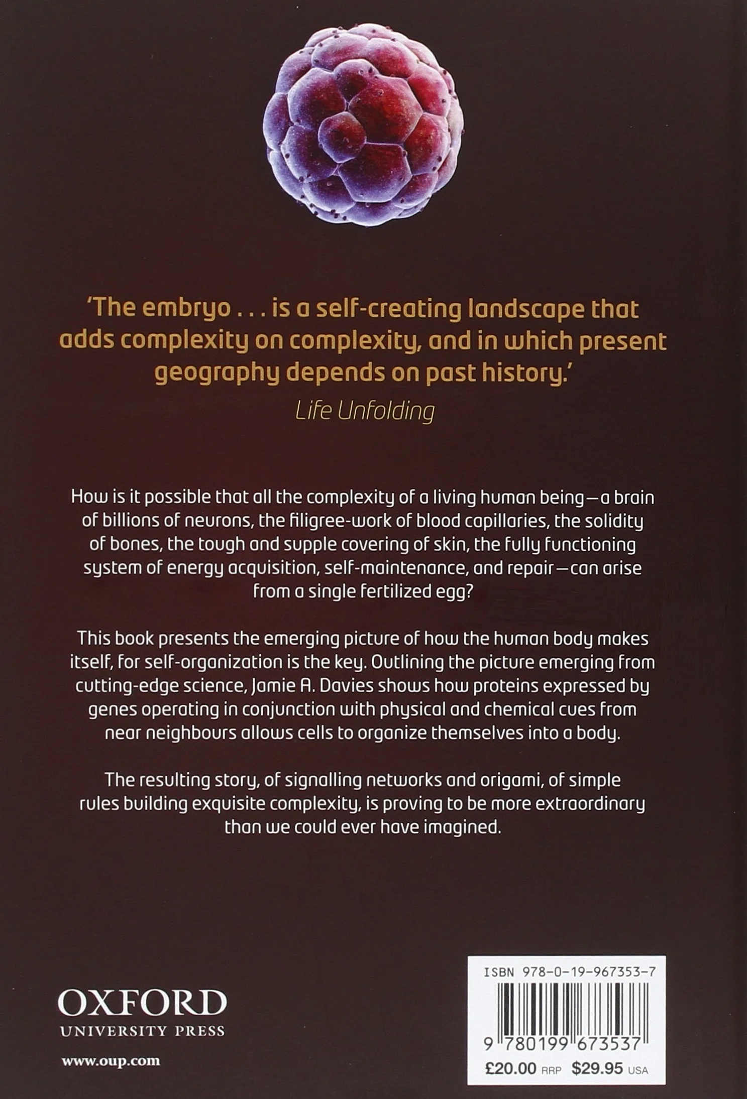 Life Unfolding: How the Human Body Creates Itself