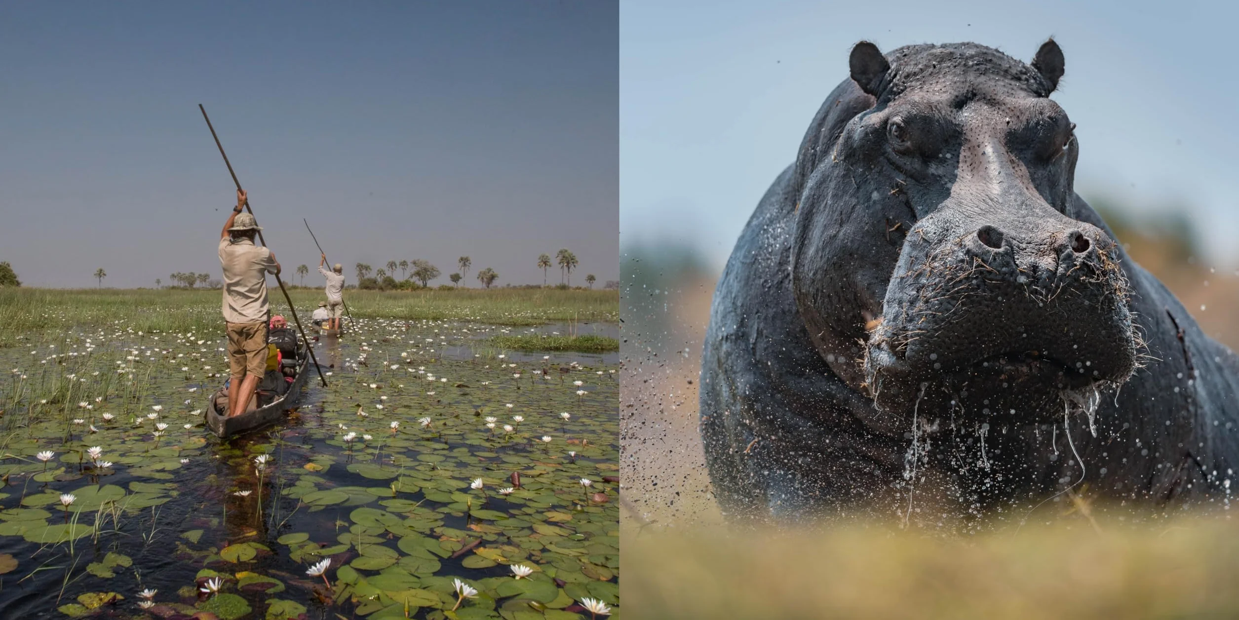 Okavango and the Source of Life: Exploring Africa's Lost Headwaters
