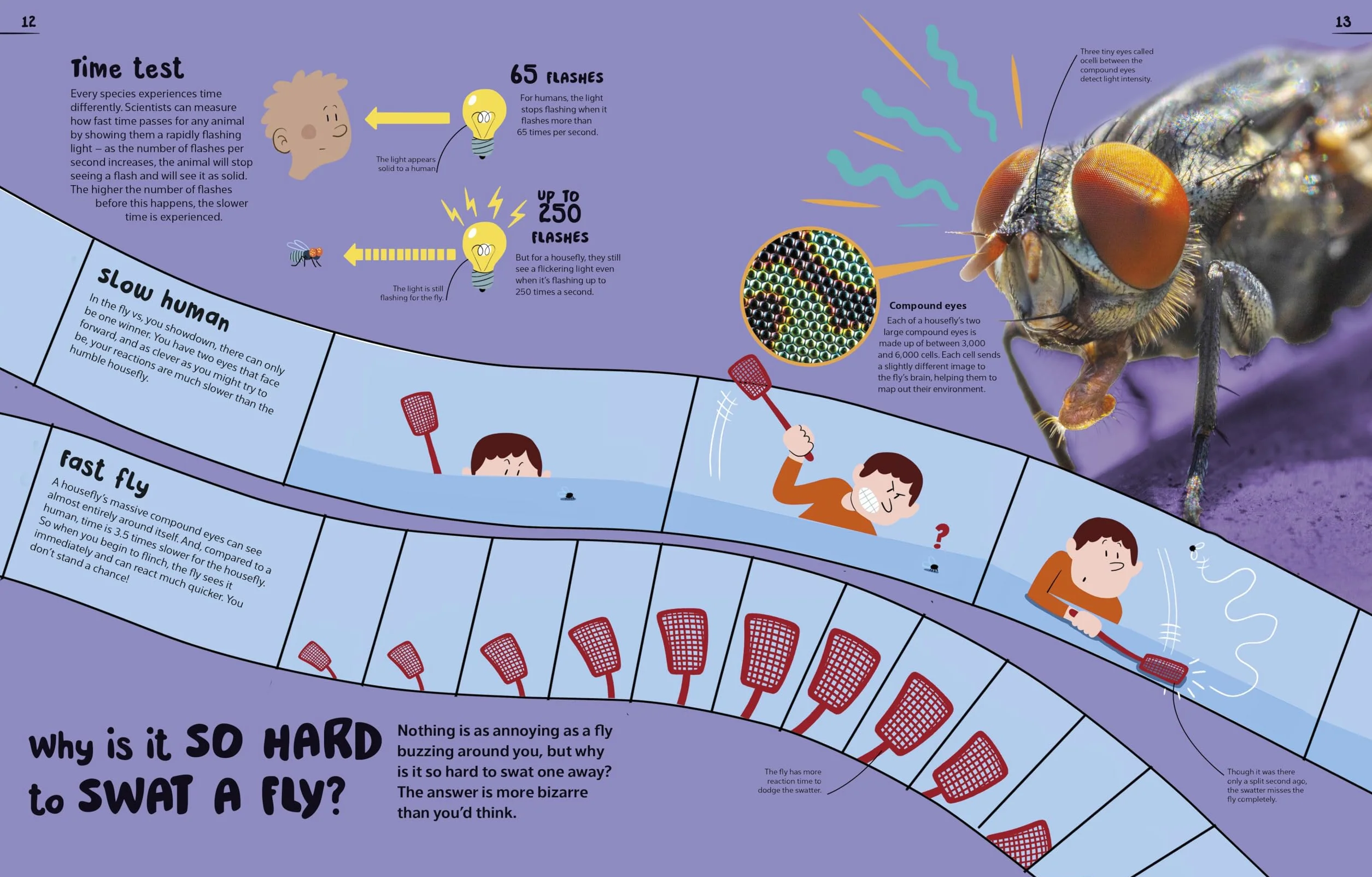 An Excellent Encyclopedia of Your Senses: Think You Have Just Five Senses? Think Again!