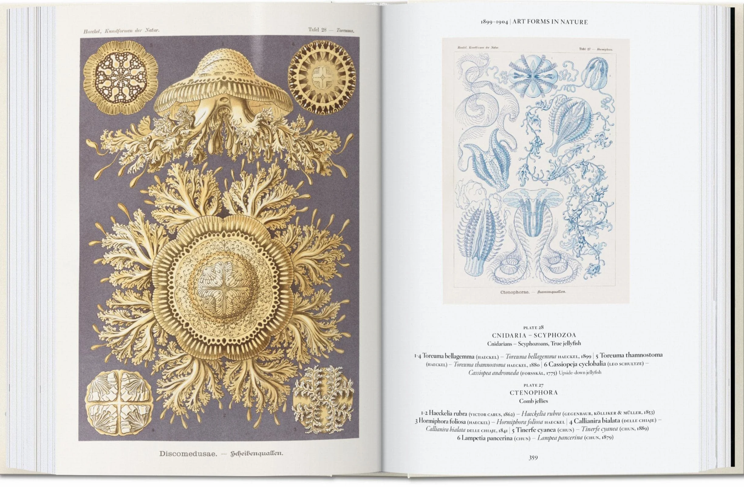 The Art and Science of Ernst Haeckel. 45th Ed.