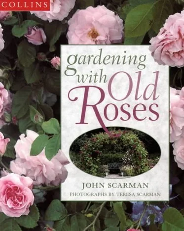 Old Roses Gardening
