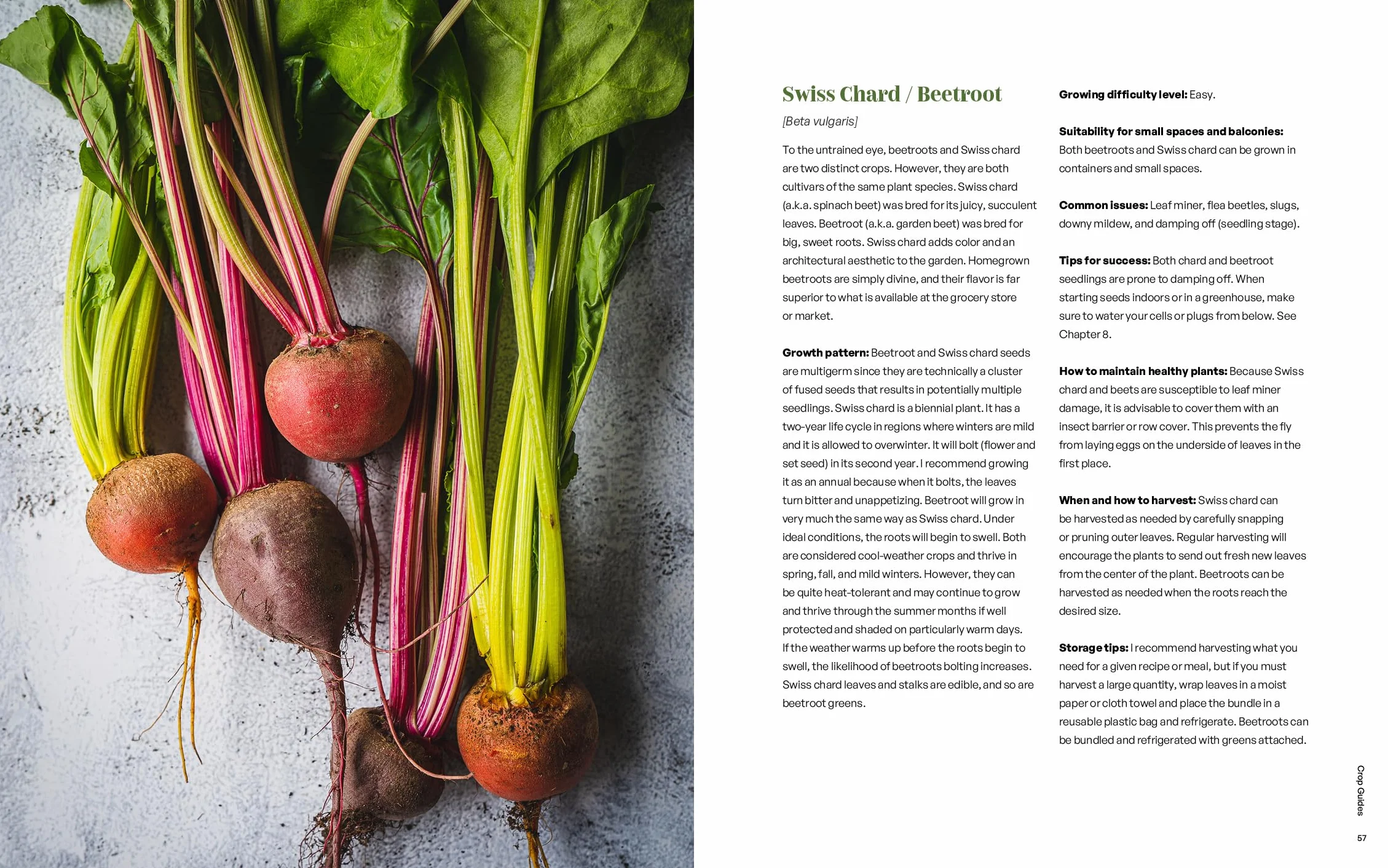 Seed to Table: A Seasonal Guide to Organically Growing, Cooking, and Preserving Food at Home (Kitchen Garden, Urban Gardening)