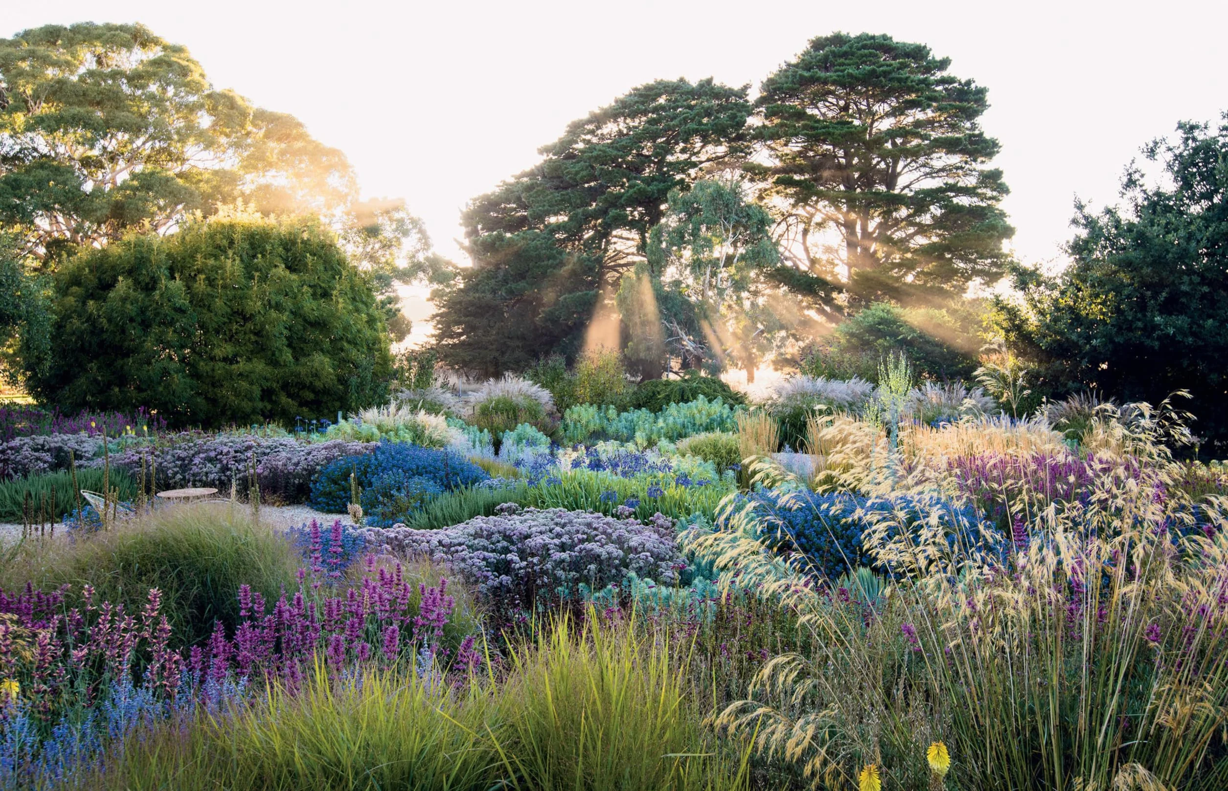 Dreamscapes: Inspiration and Beauty in Gardens Near and Far