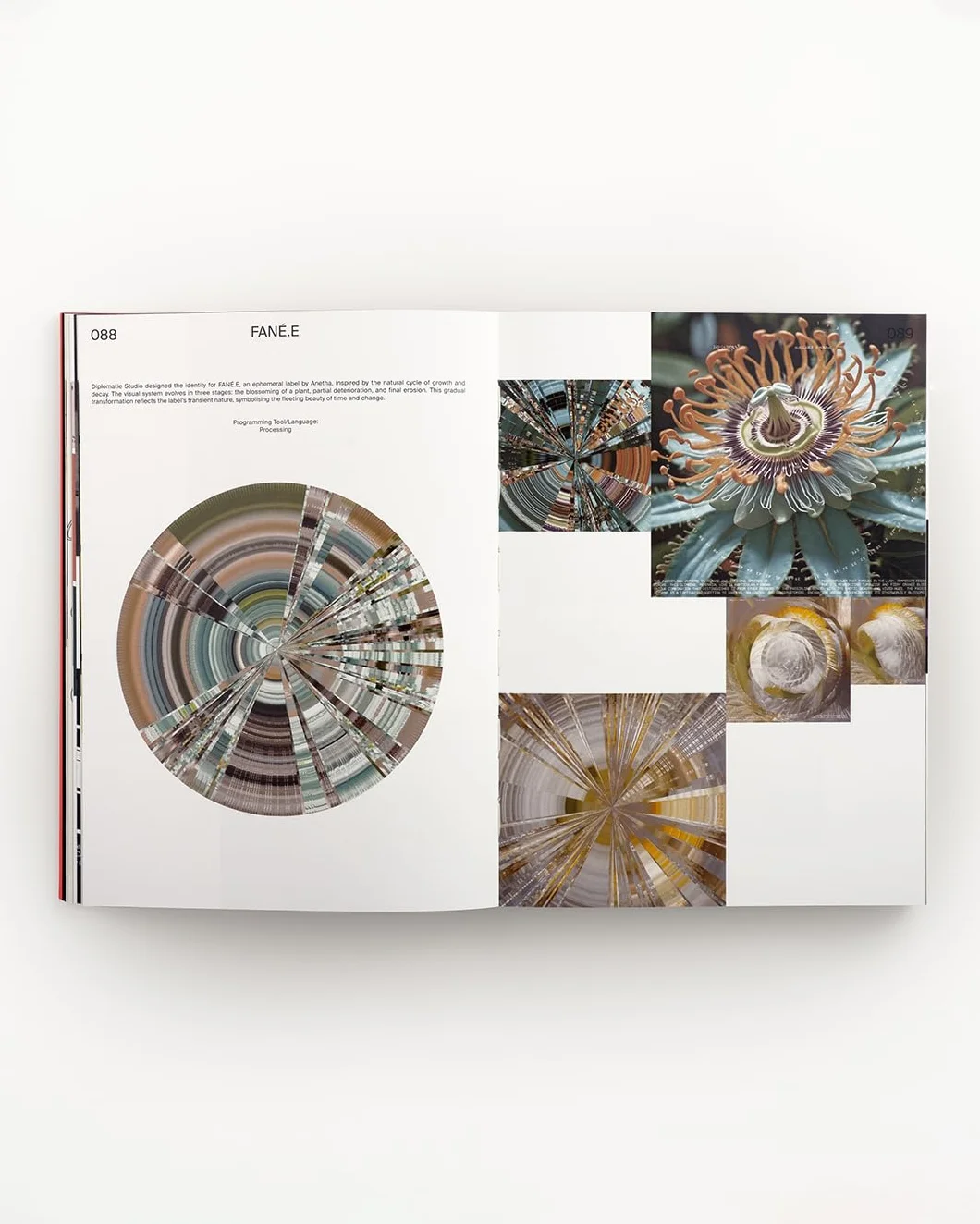 CodeCrafted Generative Design in Branding /anglais