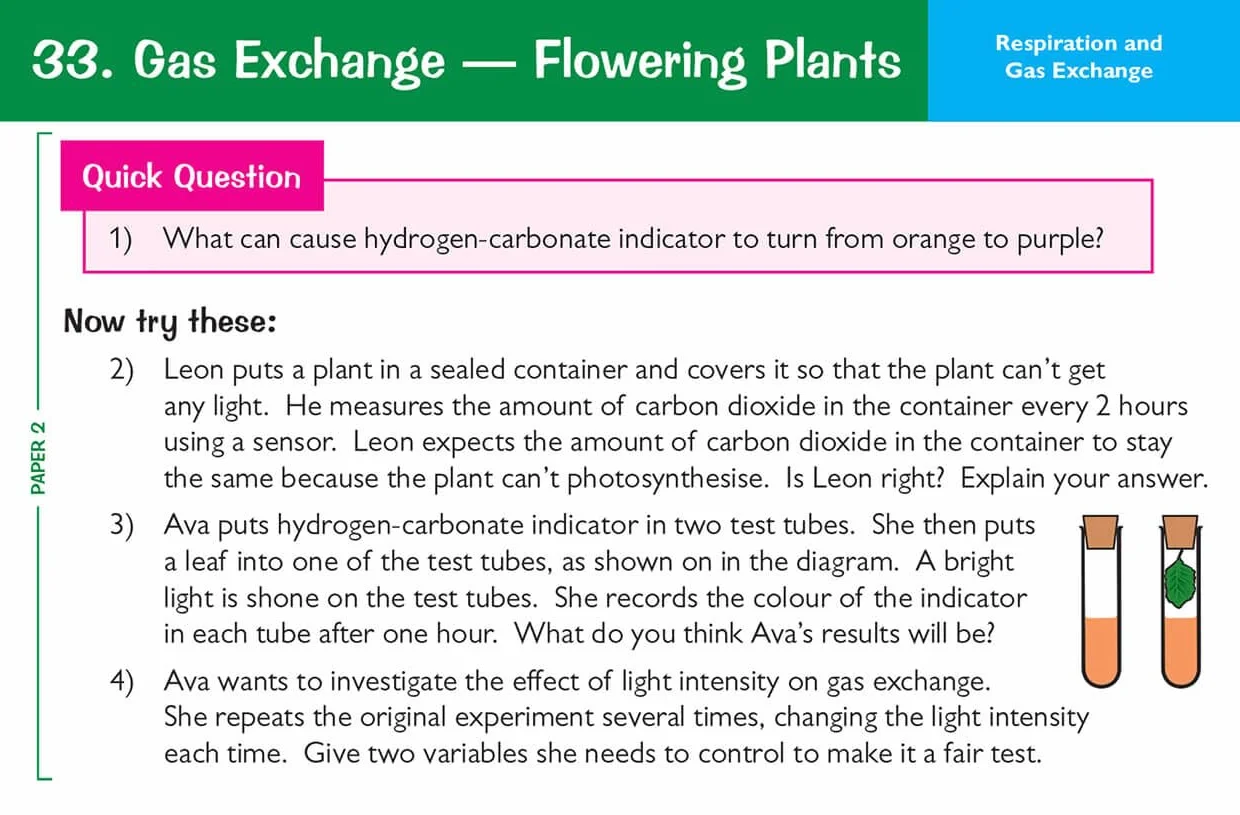 Edexcel International GCSE Biology Revision Question Cards