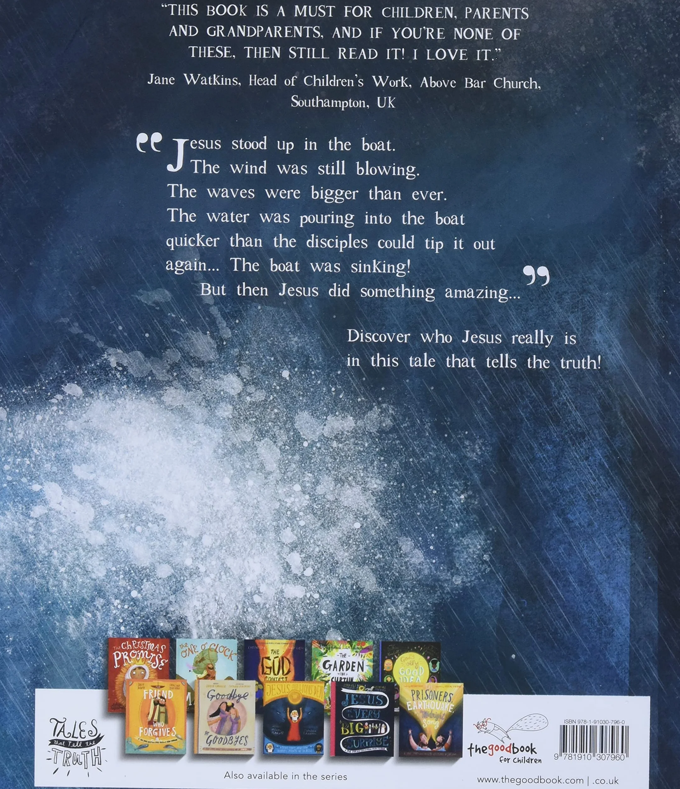 The Storm That Stopped Storybook: A True Story about Who Jesus Really Is