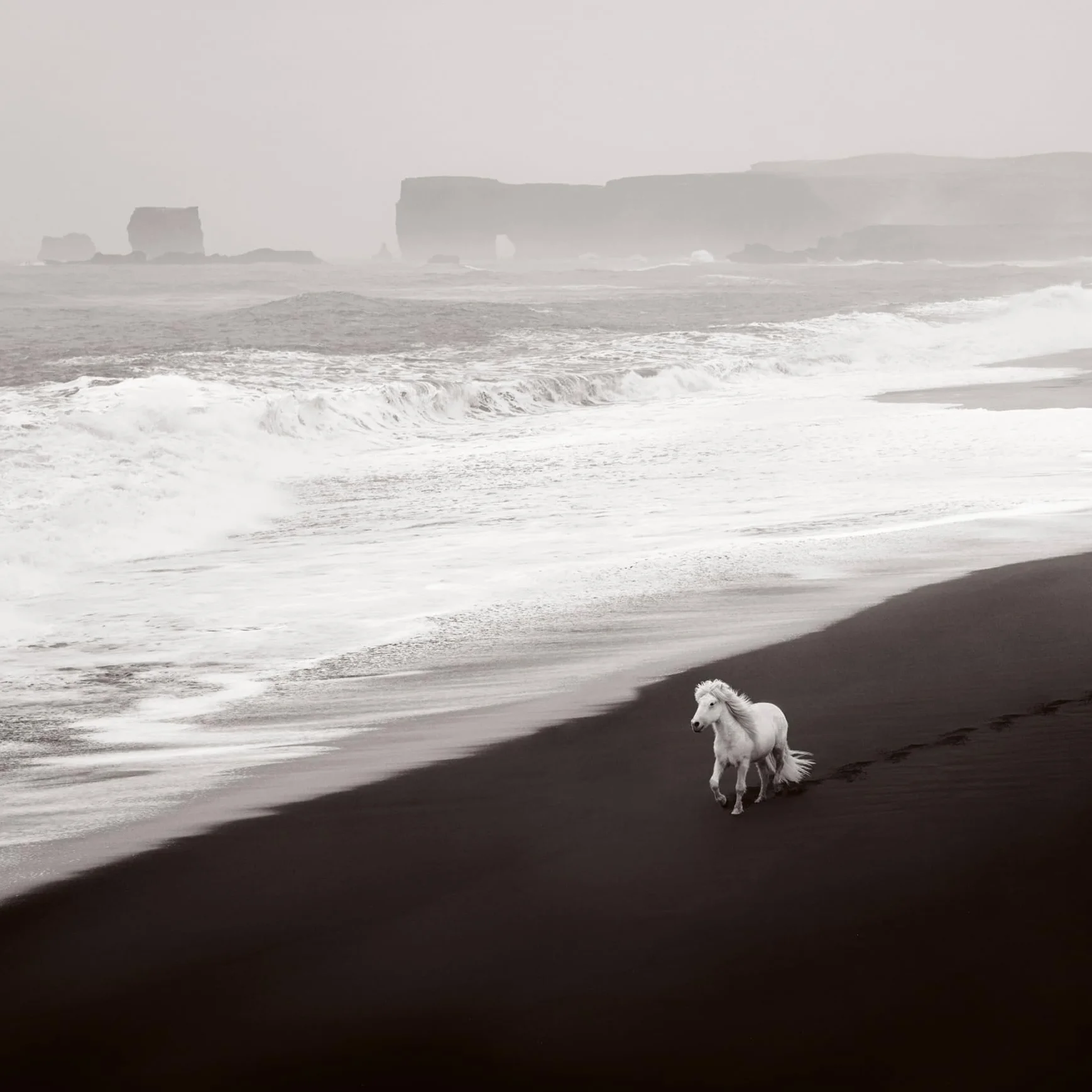 Untamed Spirits: Horses from Around the World