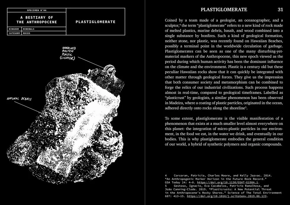 A Bestiary of the Anthropocene: Hybrid Plants, Animals, Minerals, Fungi, and Other Specimens
