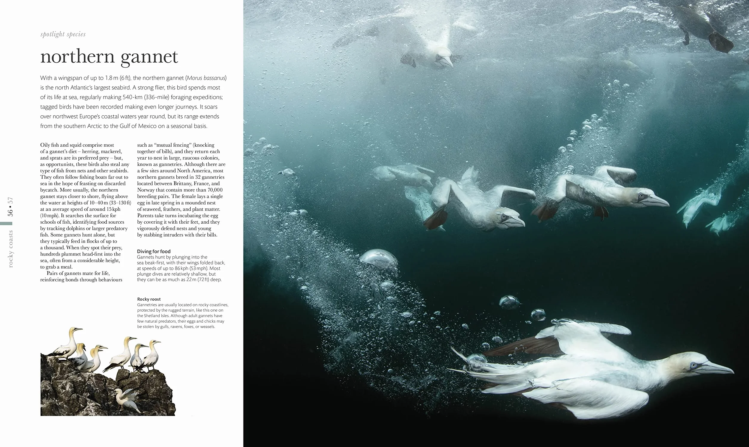 The Science of the Ocean: Secrets of the Seas