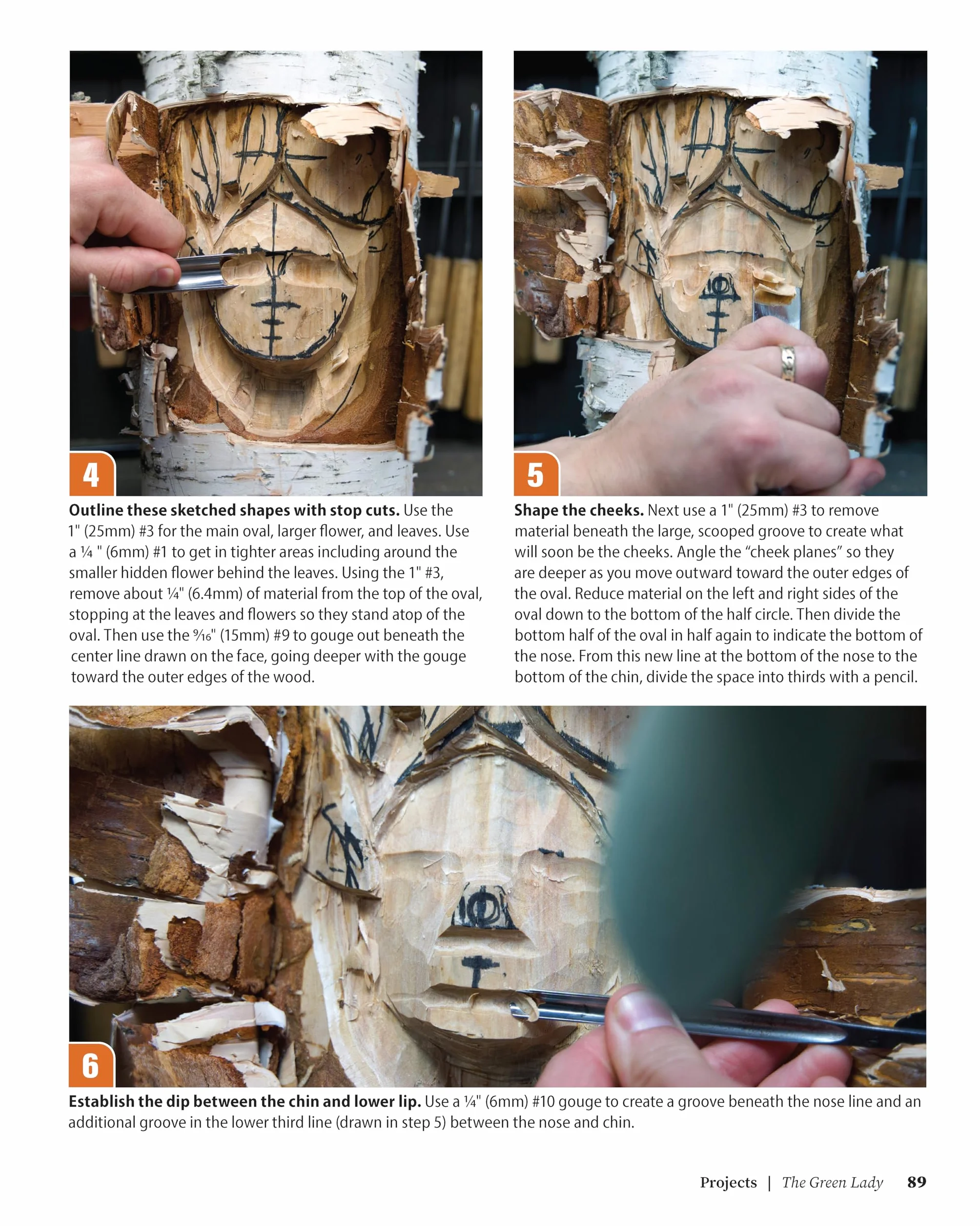 Carving Faces in Wood: Beginner's Guide to Creating Lifelike Eyes, Noses, Mouths, and Hair