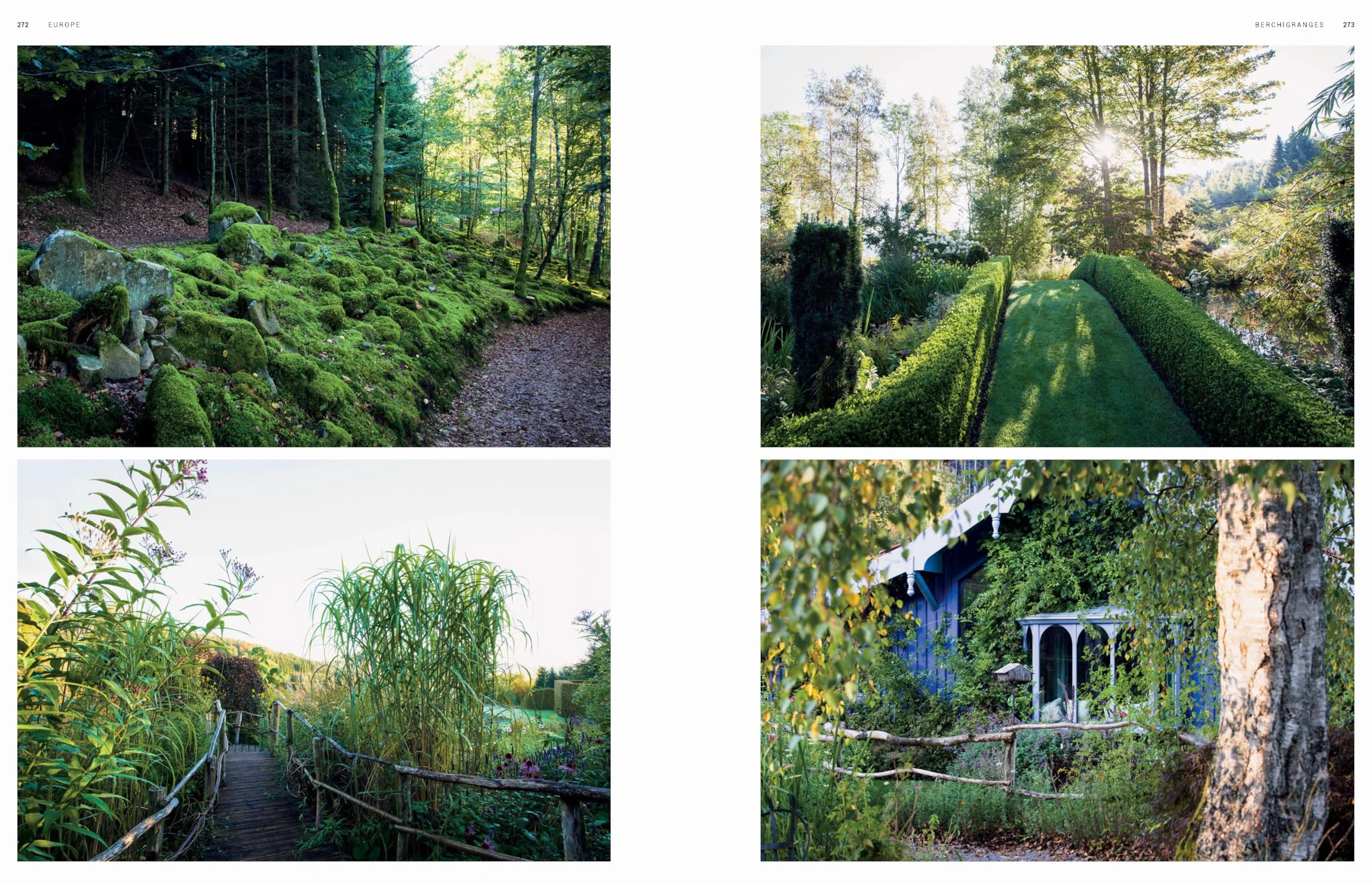 Dreamscapes: Inspiration and Beauty in Gardens Near and Far