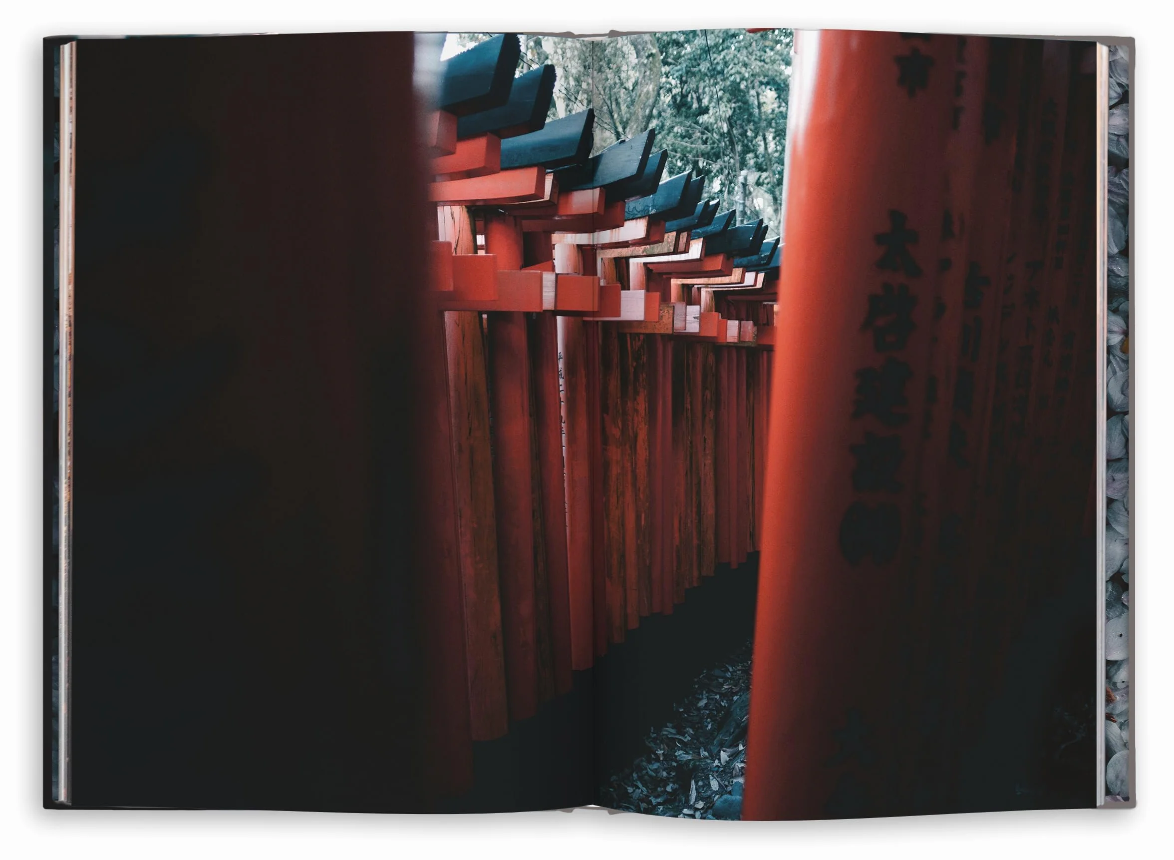 Kyoto Dreaming