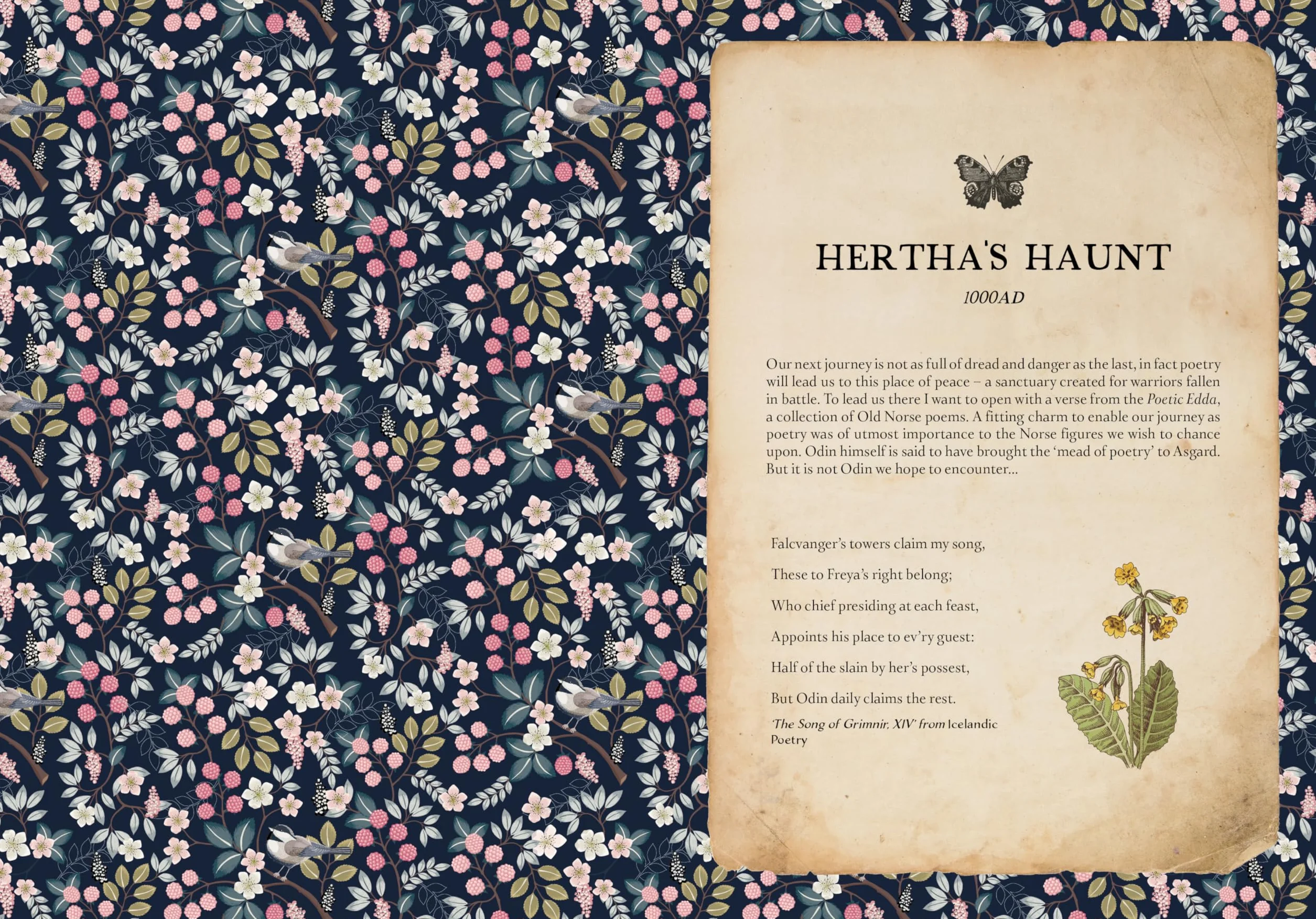 The Time Traveller's Herbal: Stories and Recipes from the Historical Apothecary Cabinet