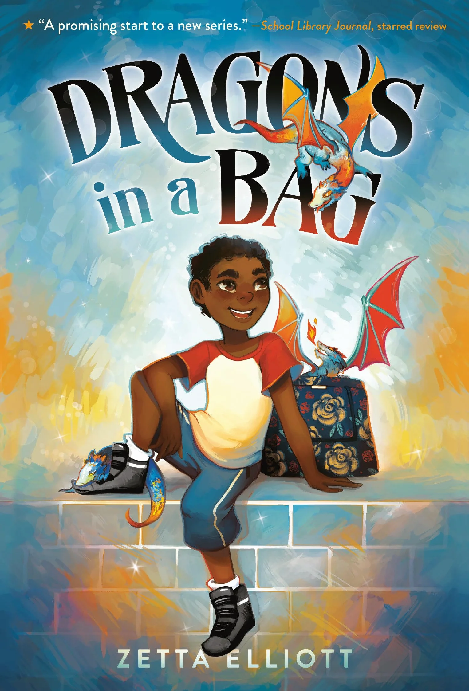 Dragons in a Bag: 1