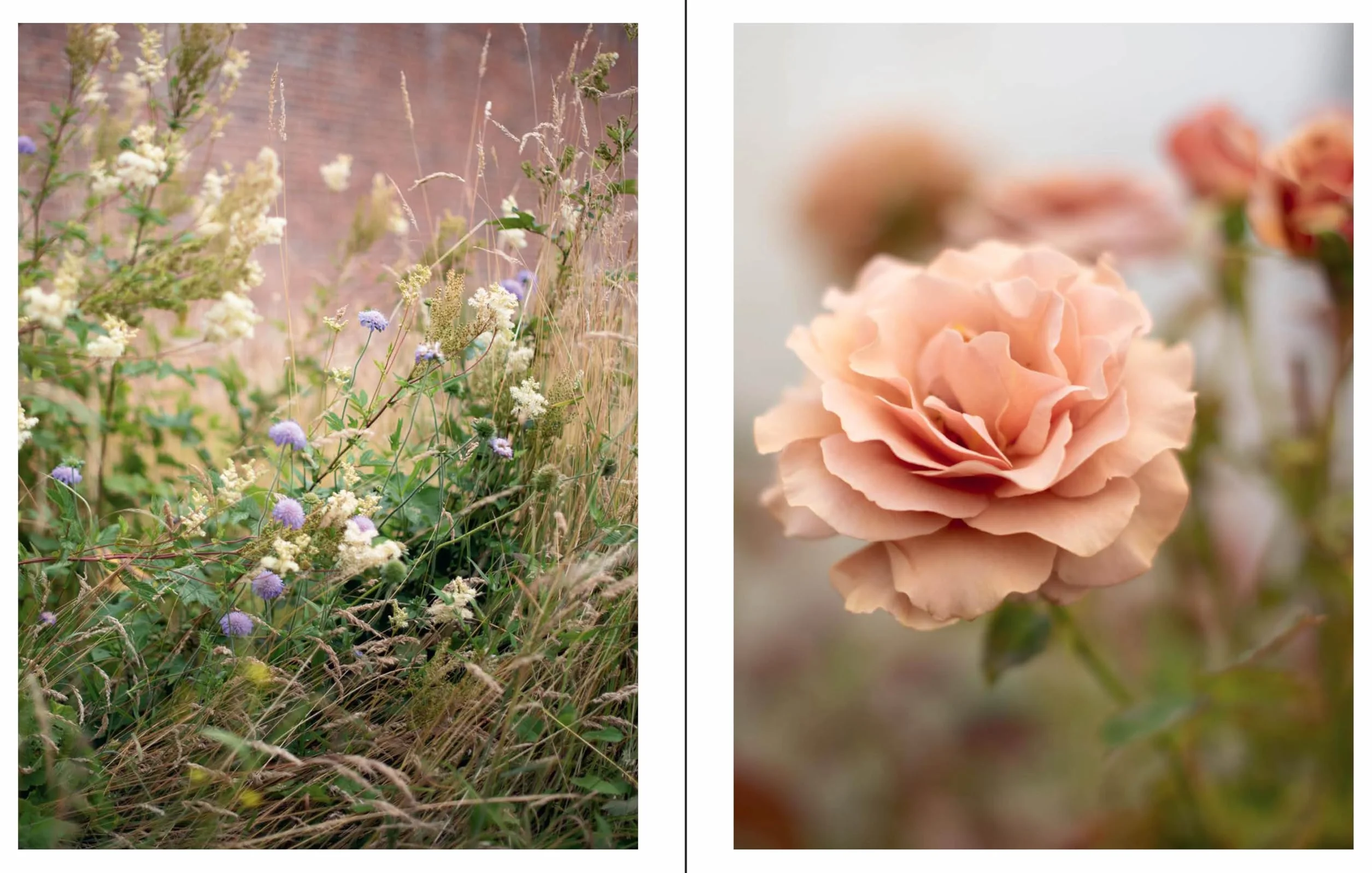 Naturalistic Flowers: A Year of Plants, Places and People /anglais