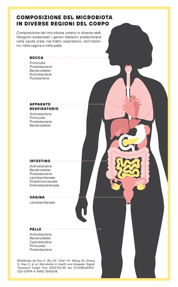 Non è mai morto nessuno. Dagli impasti crudi al microbiota, viaggio nella microbiologia di tutti i giorni