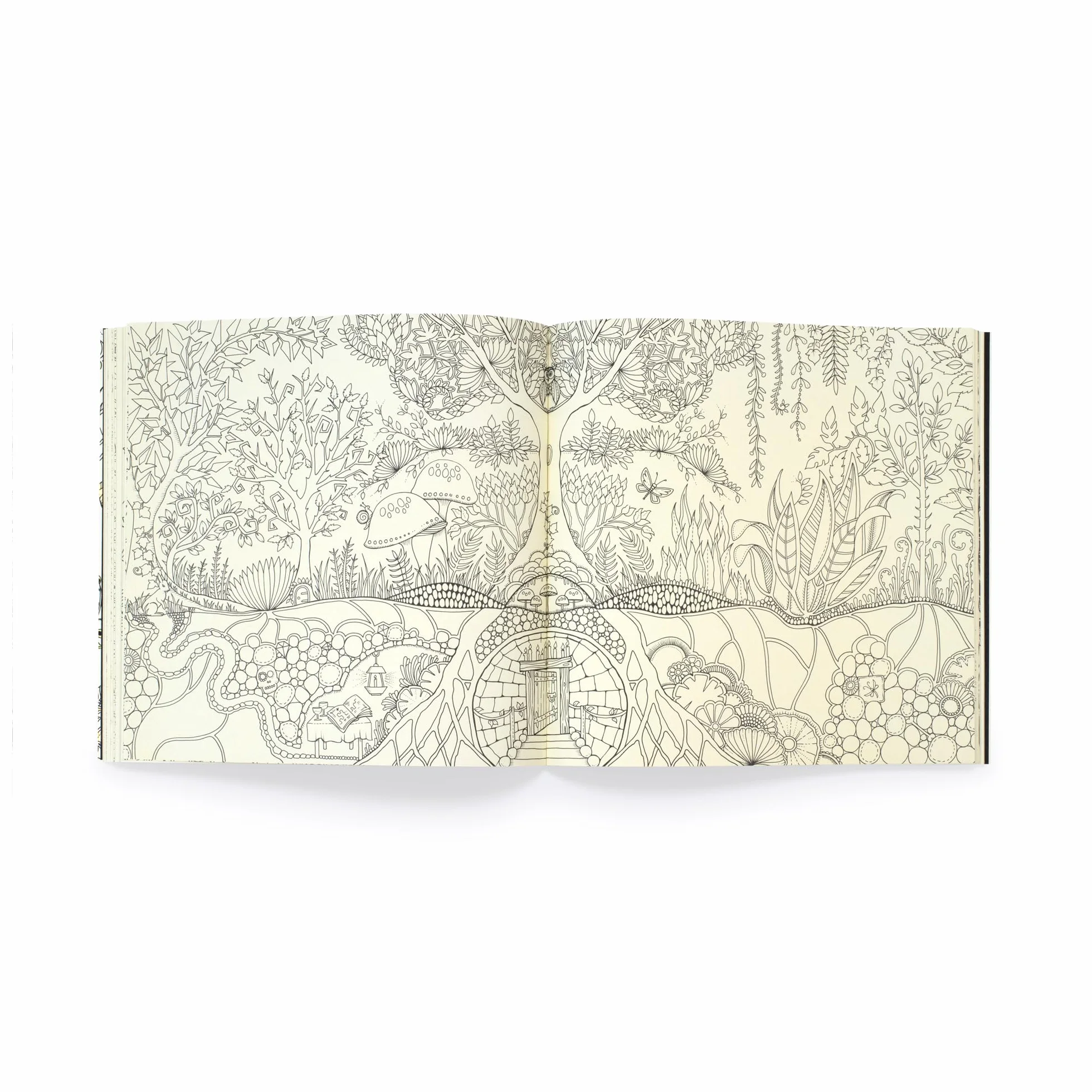 Enchanted Forest 10th Anniversary Limited Special Edition