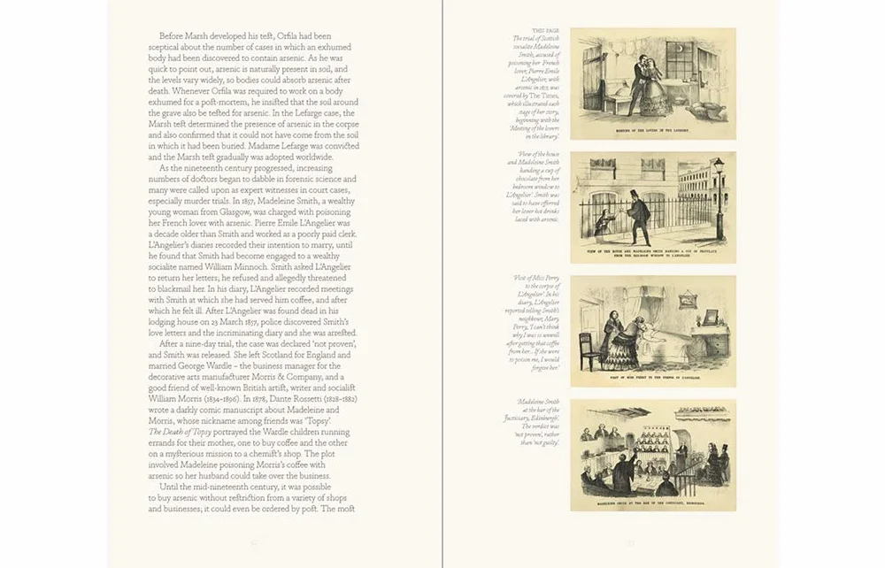 Bitten By Witch Fever /anglais: Wallpaper & Arsenic in the Victorian Home