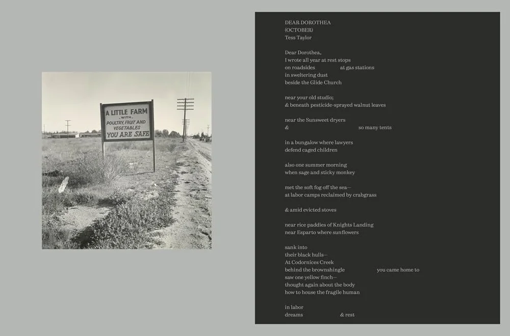 Women Photographers 1900-1975: A Legacy of Light