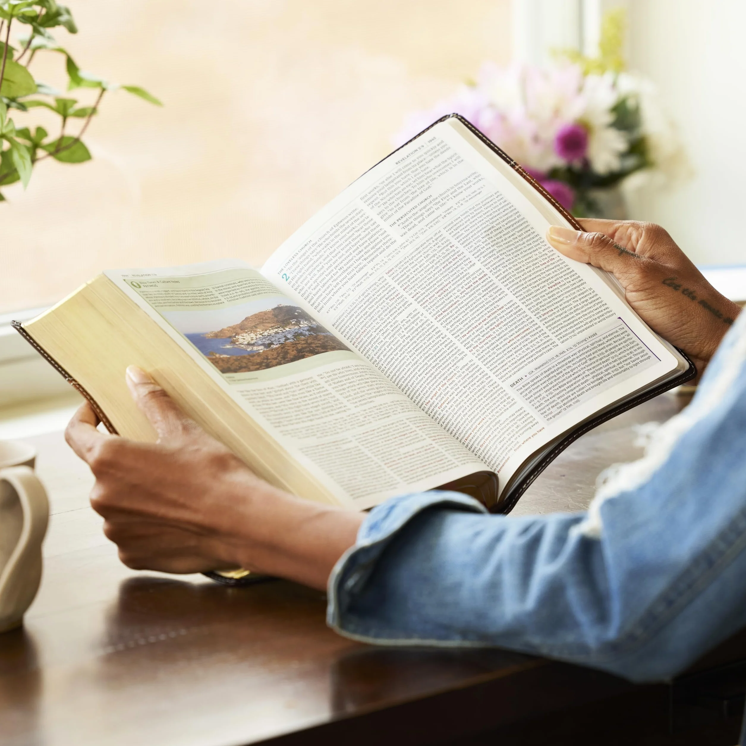 NKJV Study Bible, Hardcover, Full-Color, Red Letter Edition, Comfort Print: The Complete Resource for Studying God's Word