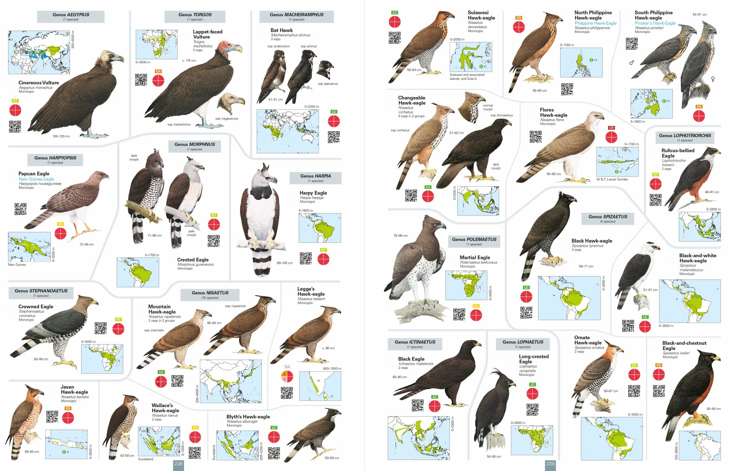 All the Birds of the World