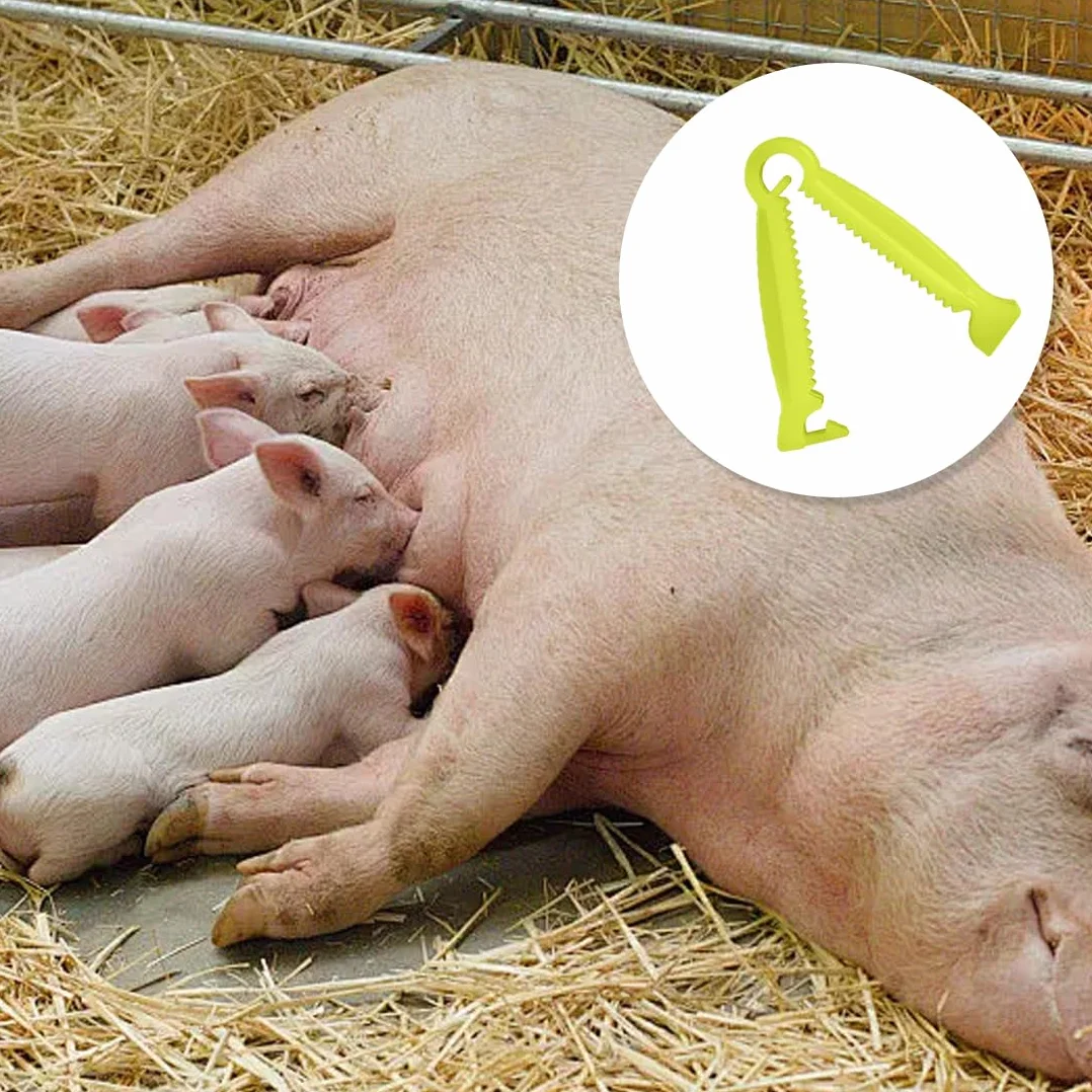WeddHuis 20 szt. klipsów jednorazowych dla szczeniąt z wytrzymałego materiału PVC