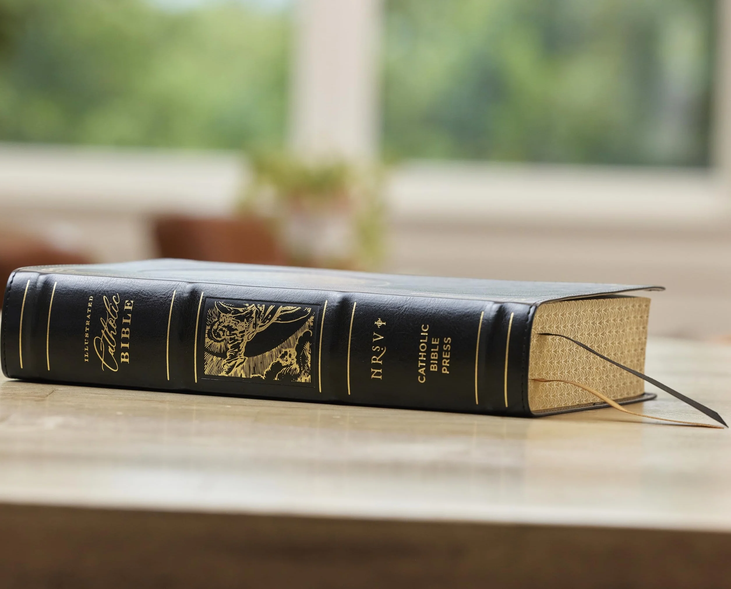 Nrsvce, Illustrated Catholic Bible, Leathersoft, Comfort Print: Holy Bible