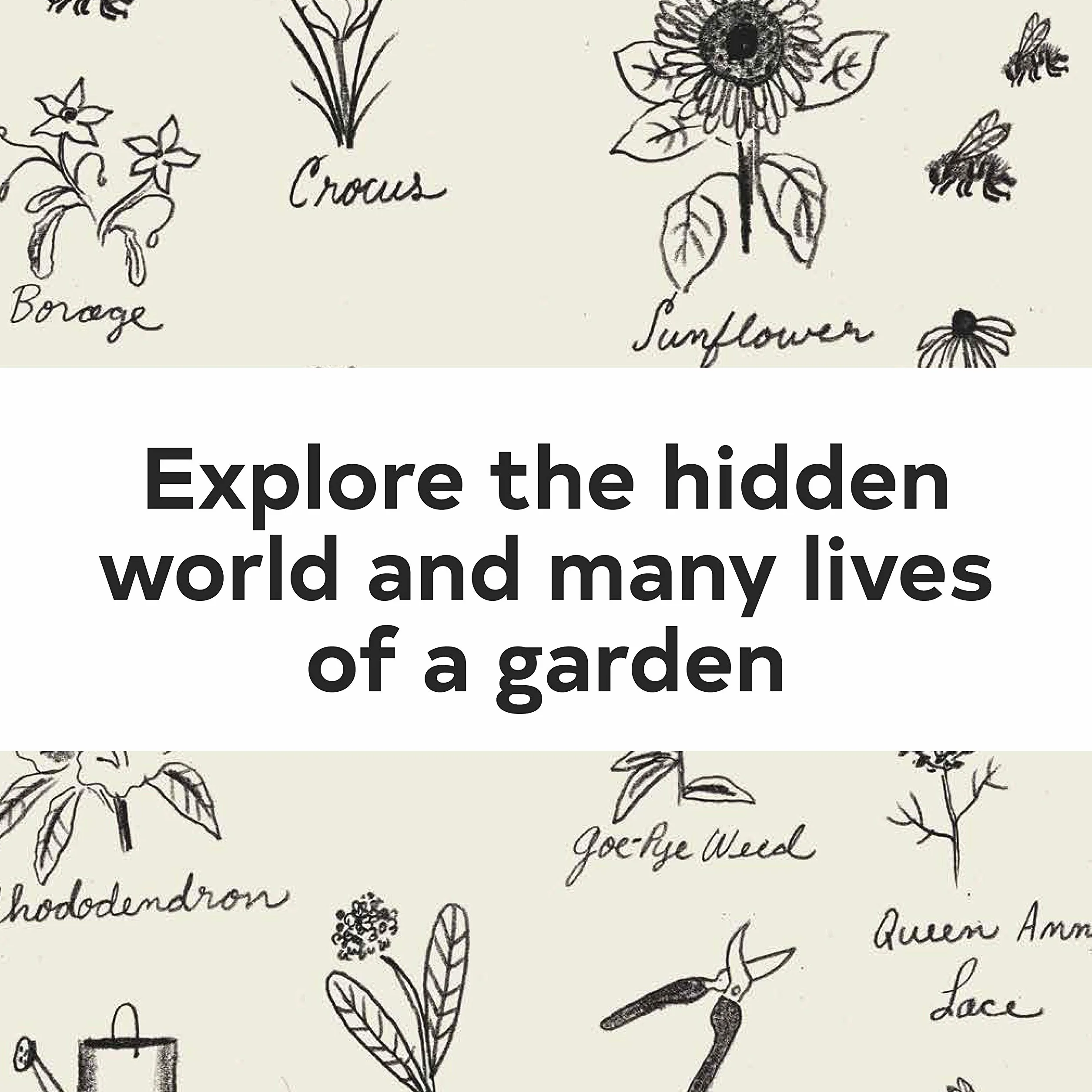 Up in the Garden and Down in the Dirt: Nature Book for Kids, Gardening, Outdoor Nature Book