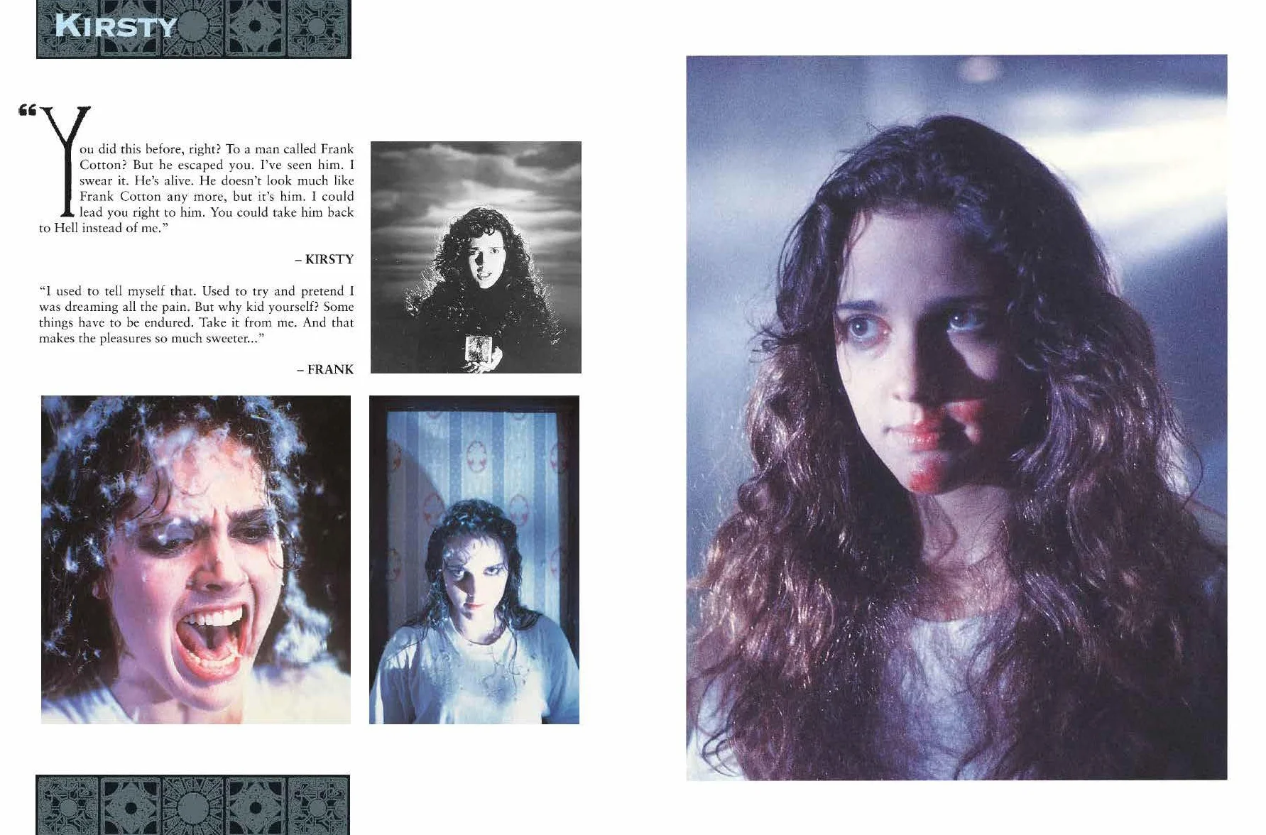 The Hellraiser Chronicles