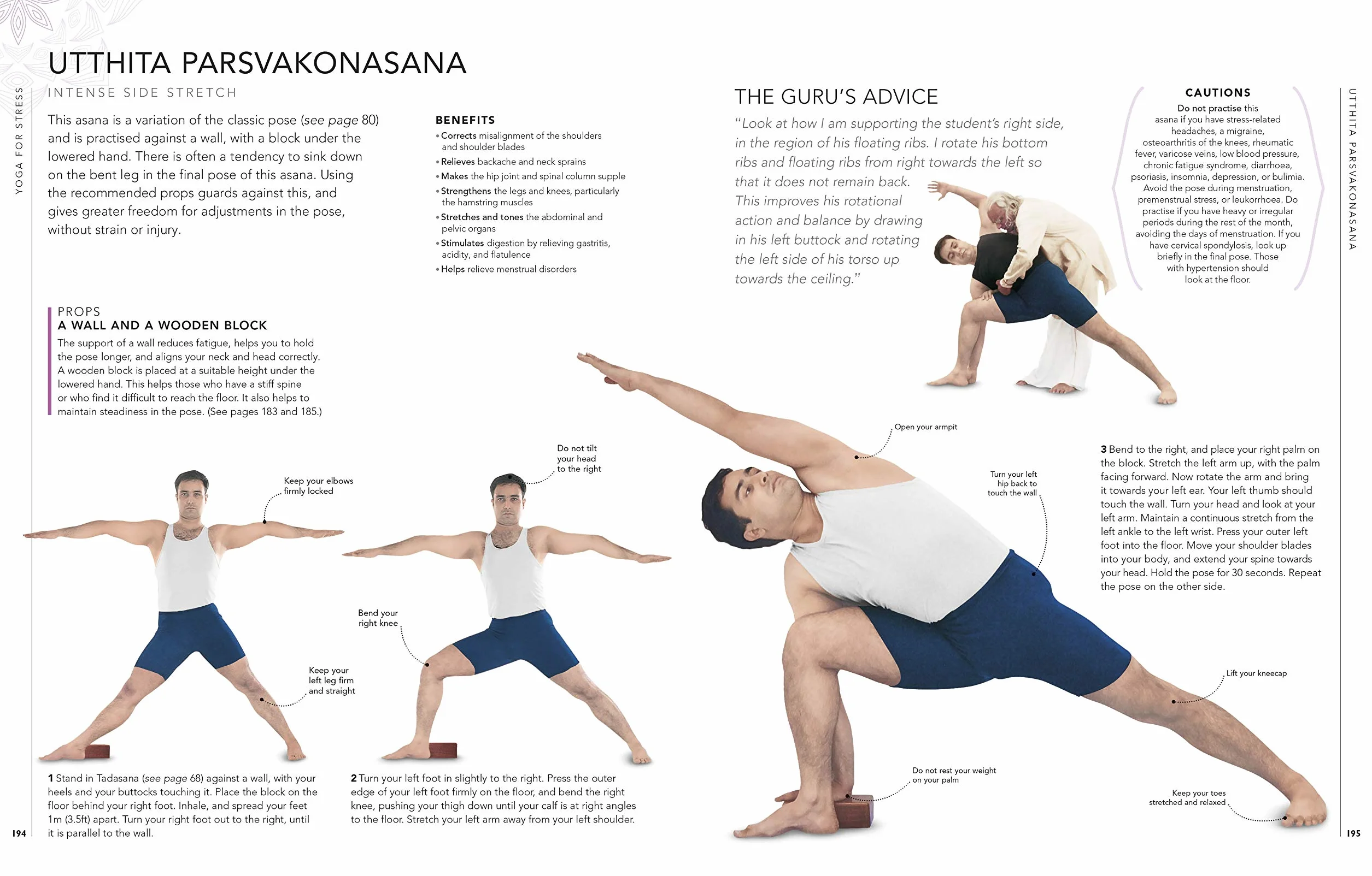 B.K.S. Iyengar Yoga The Path to Holistic Health: The Definitive Step-by-step Guide