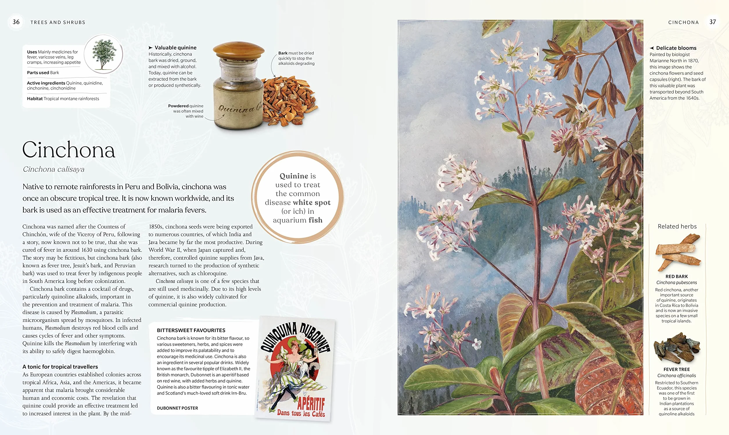 The Herb Book: Stories, Science, and History of Herbs