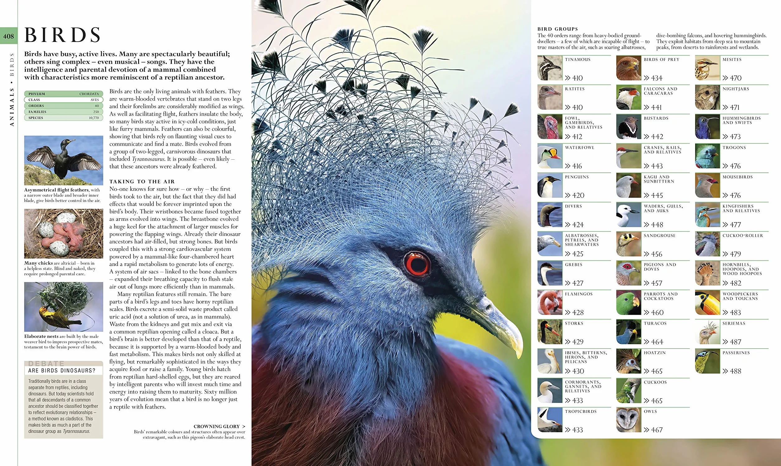 The Natural History Book: The Ultimate Visual Guide to Everything on Earth