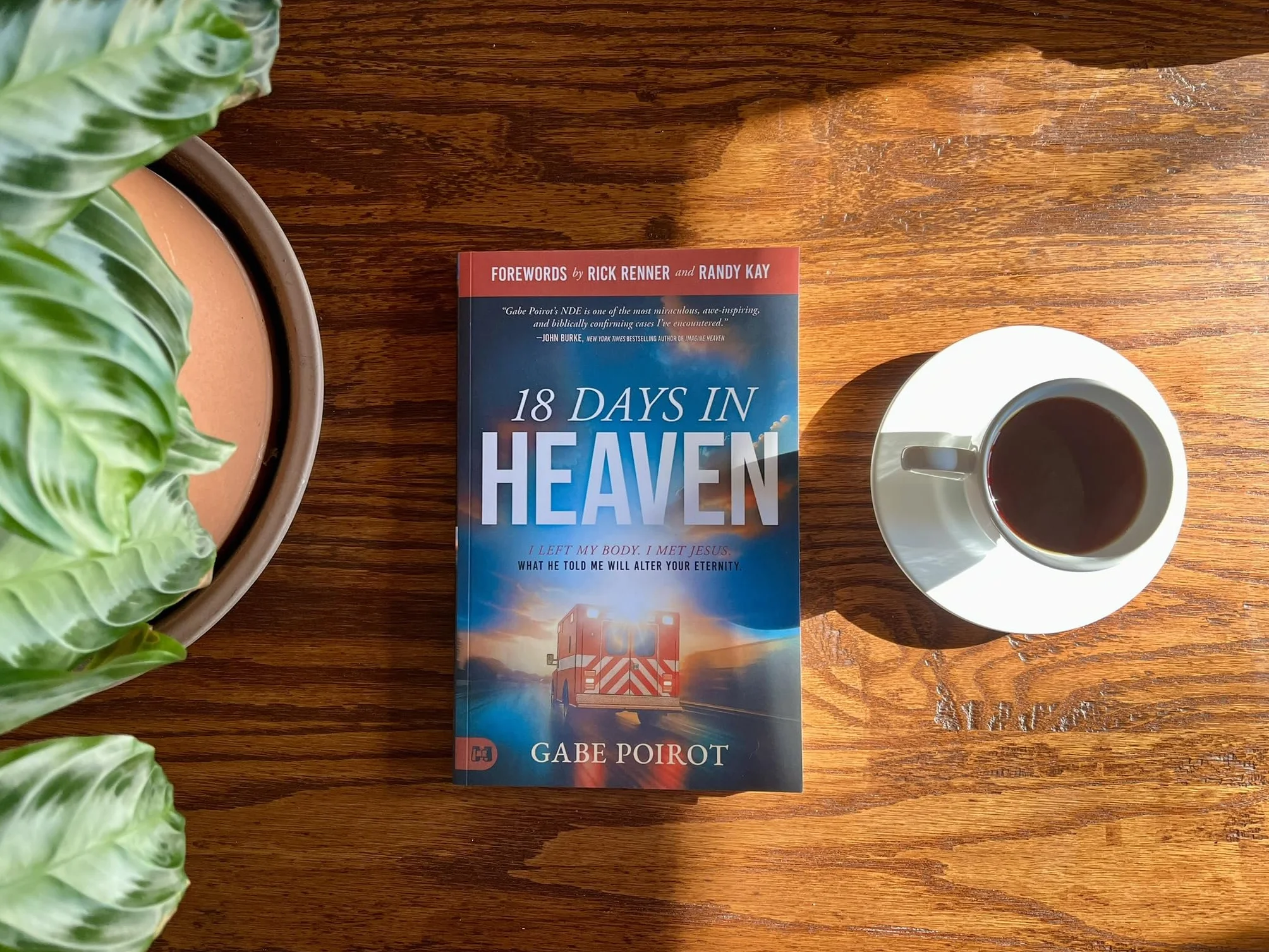 18 Days in Heaven: I Left My Body. I Met Jesus. What He Told Me Will Alter Your Eternity