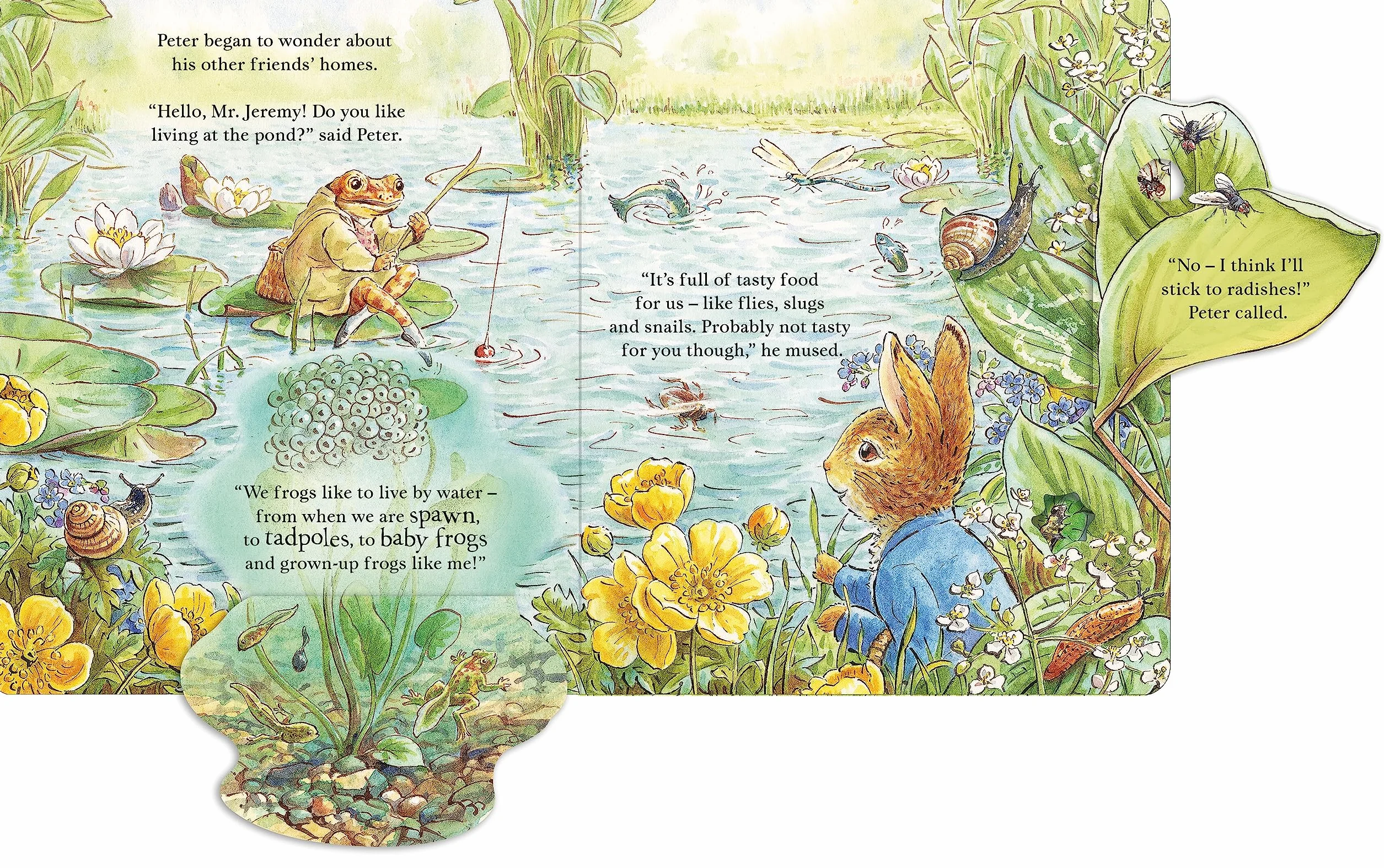 Peter Rabbit: Forest Homes A Peep-Inside Tale