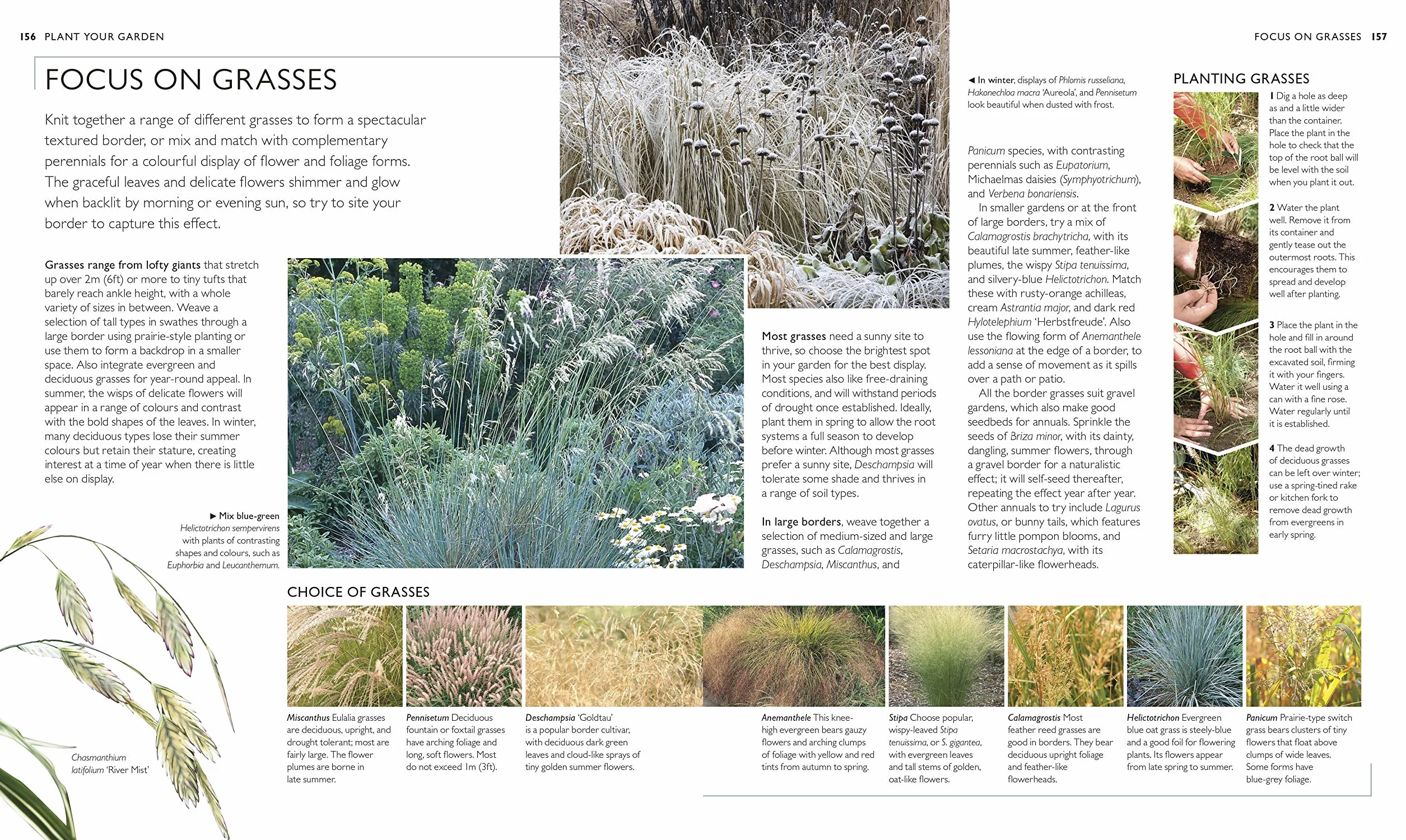 RHS Complete Gardener's Manual: Plan, Sow, Plant, Grow Your Garden