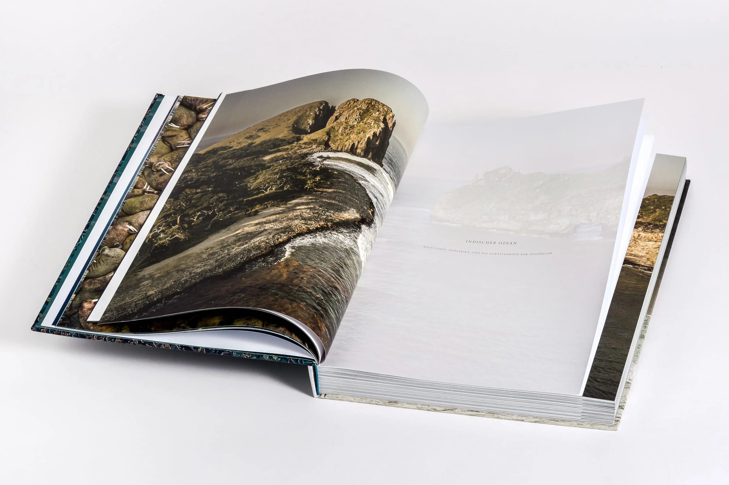 Wilder Ozean: Eine Reise in die ungezähmte Natur der Weltmeere. Opulenter Coffee-Table-Band mit über 200 faszinierenden Fotografien