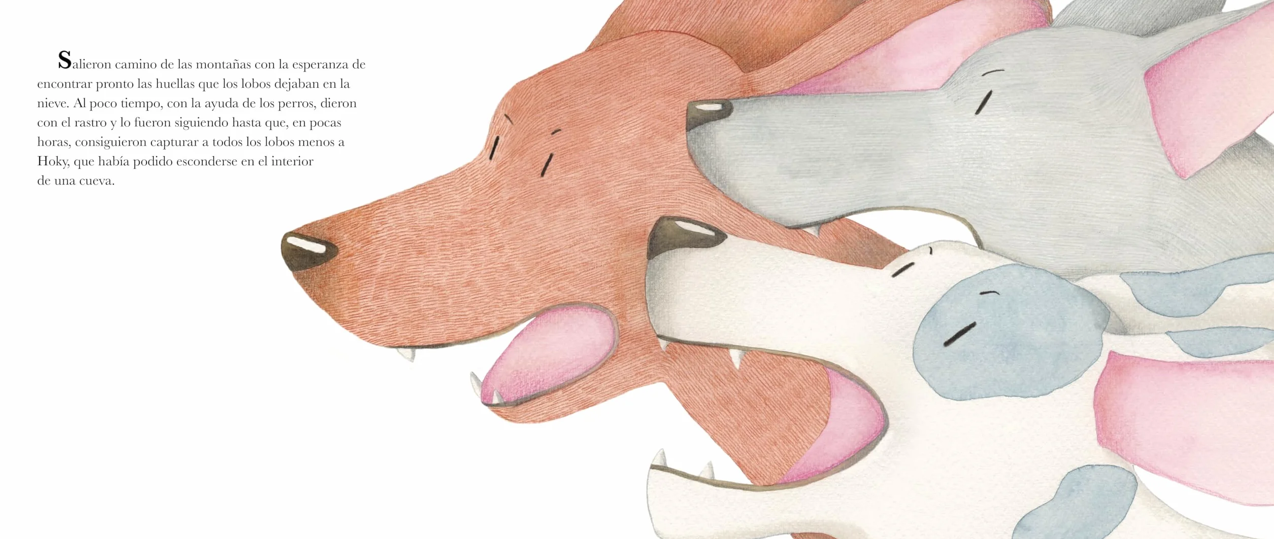 Hoky El Lobo Solidario (Hoky the Caring Wolf)