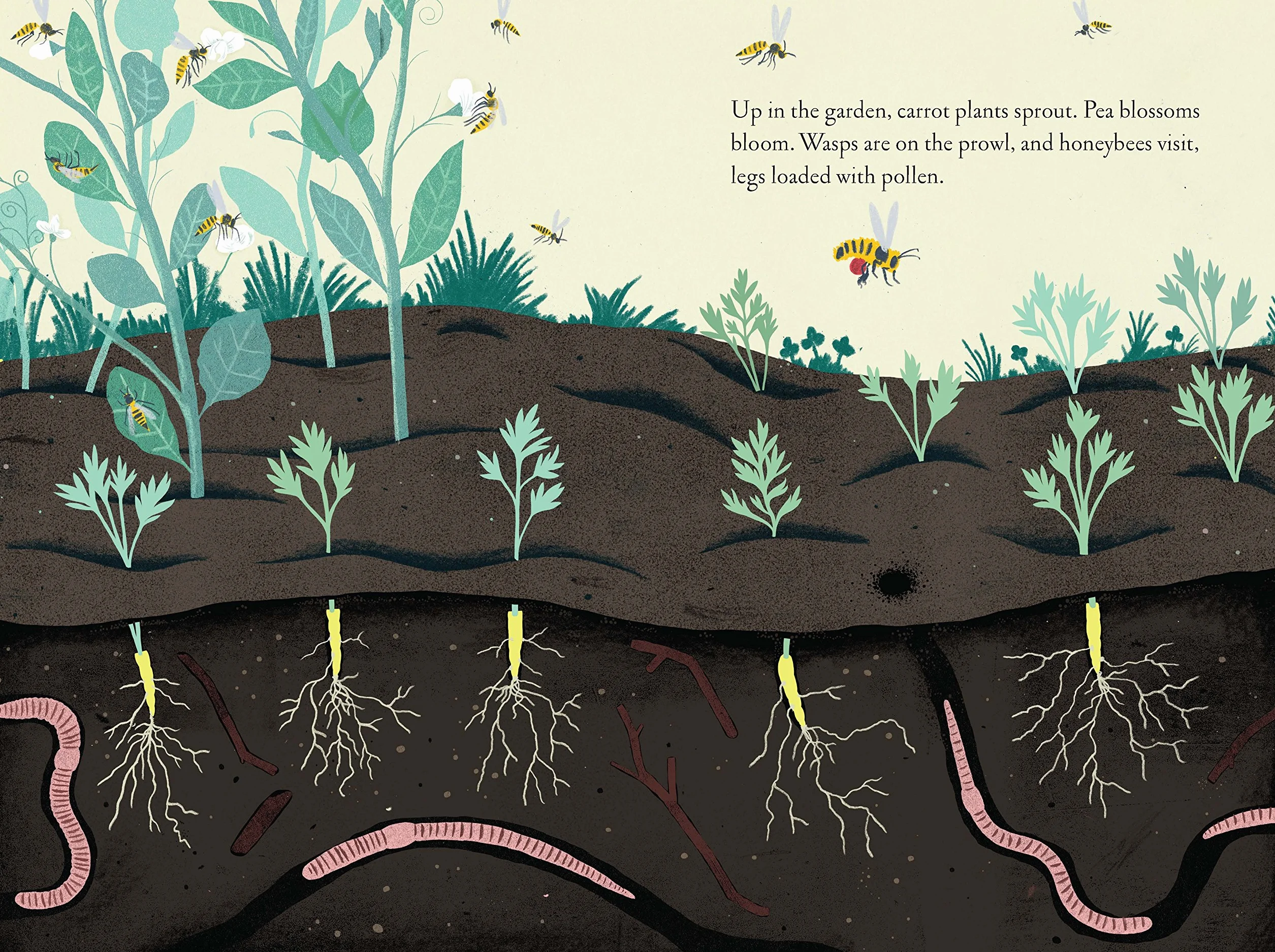 Up in the Garden and Down in the Dirt: Nature Book for Kids, Gardening, Outdoor Nature Book