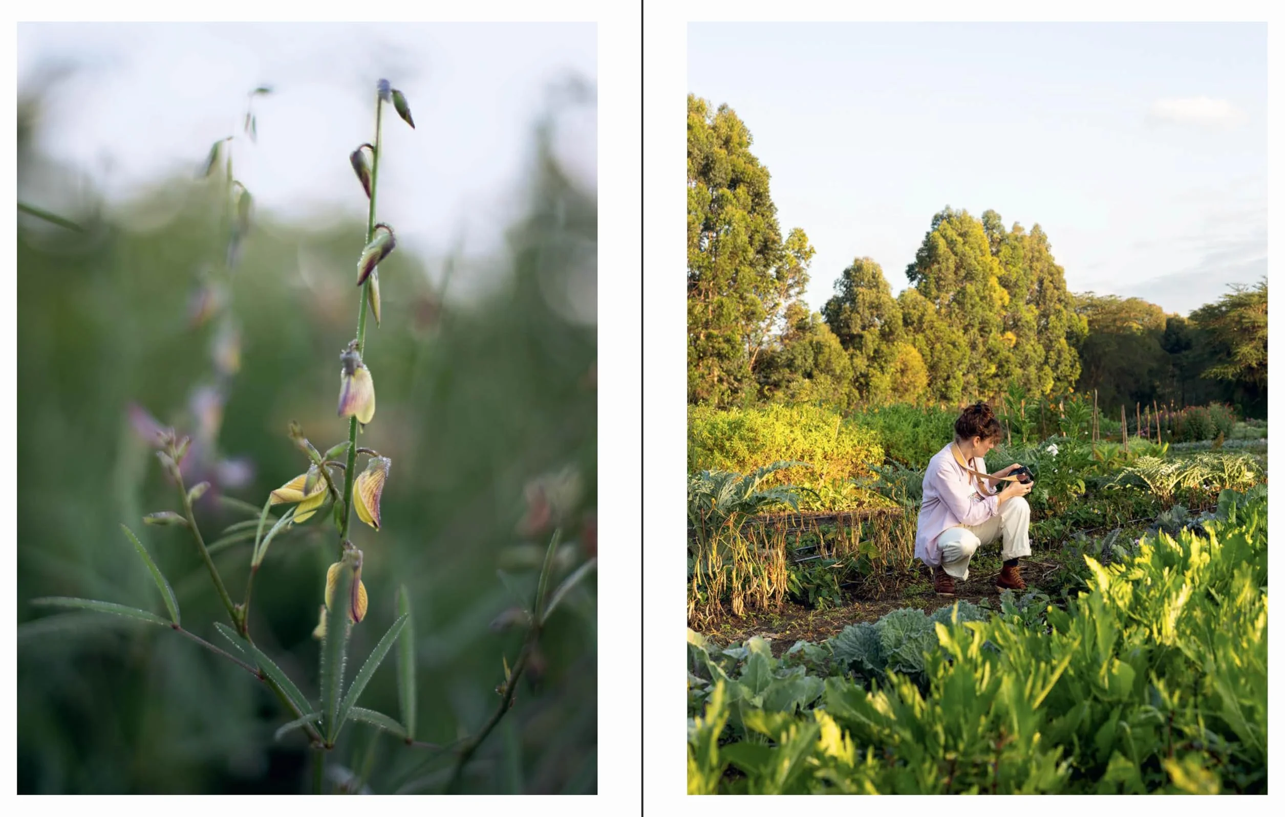 Naturalistic Flowers: A Year of Plants, Places and People /anglais
